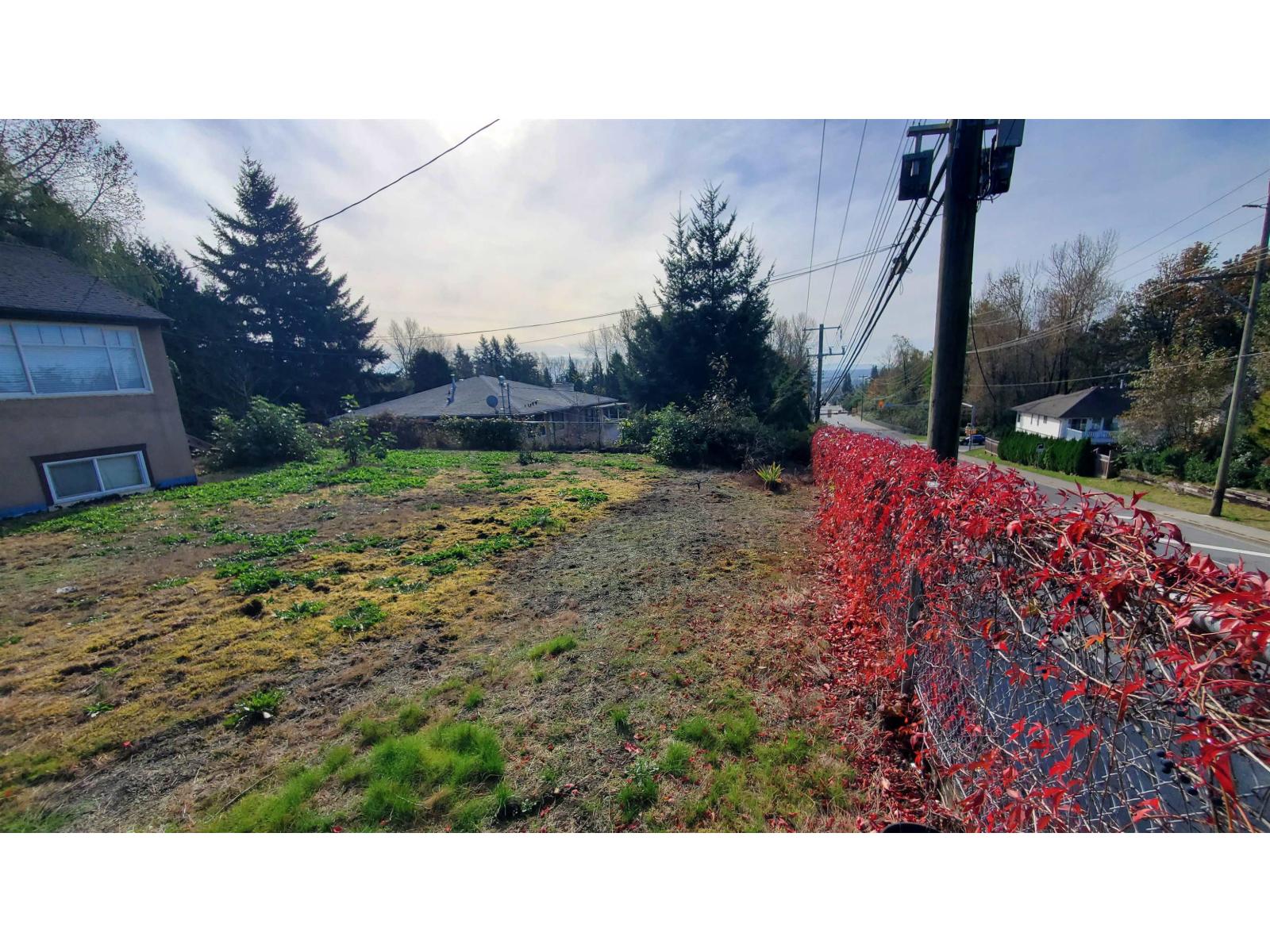 8042 Cedar Street Property Photo 4
