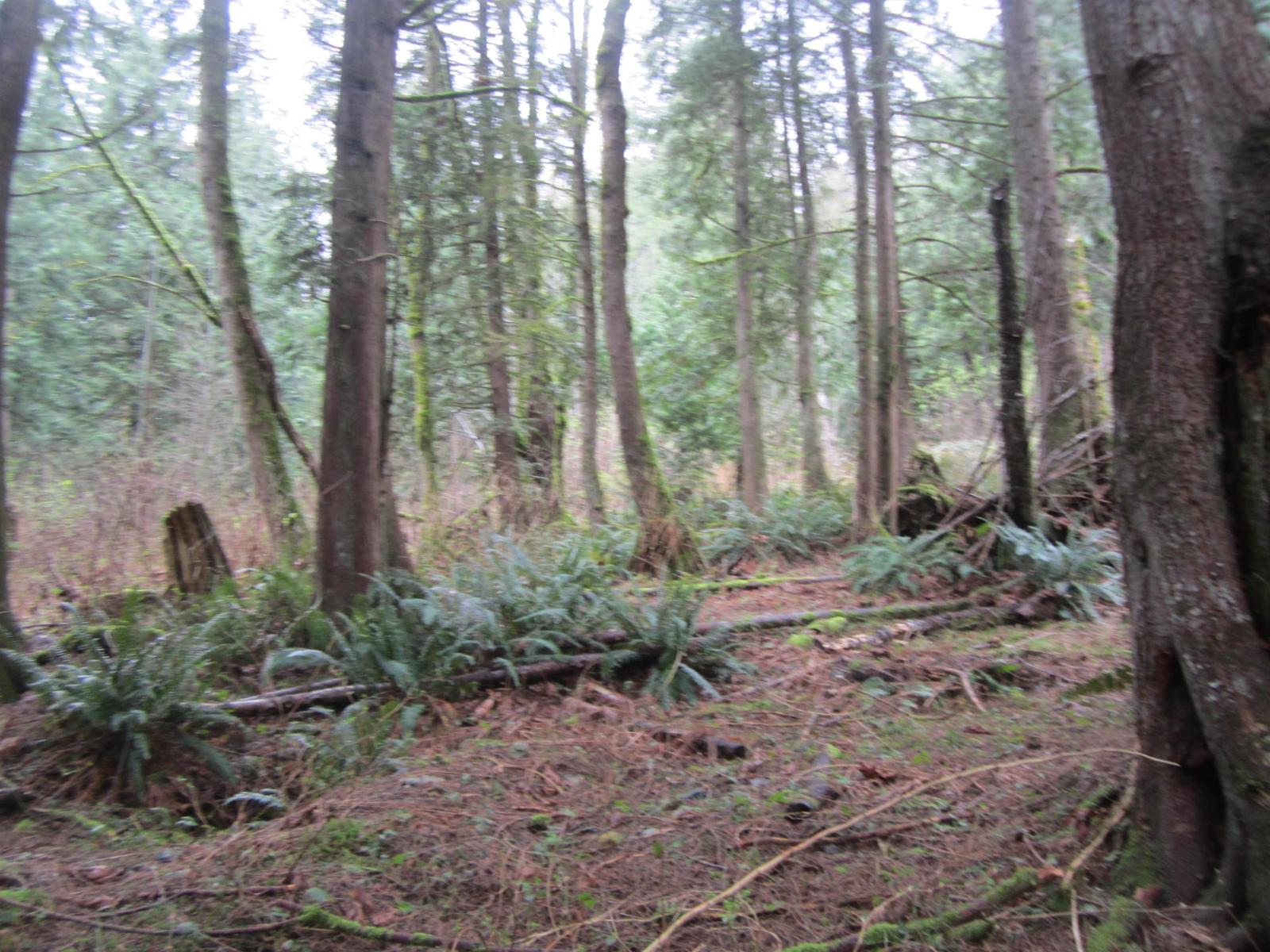 11121 Barnes Road Property Photo 4