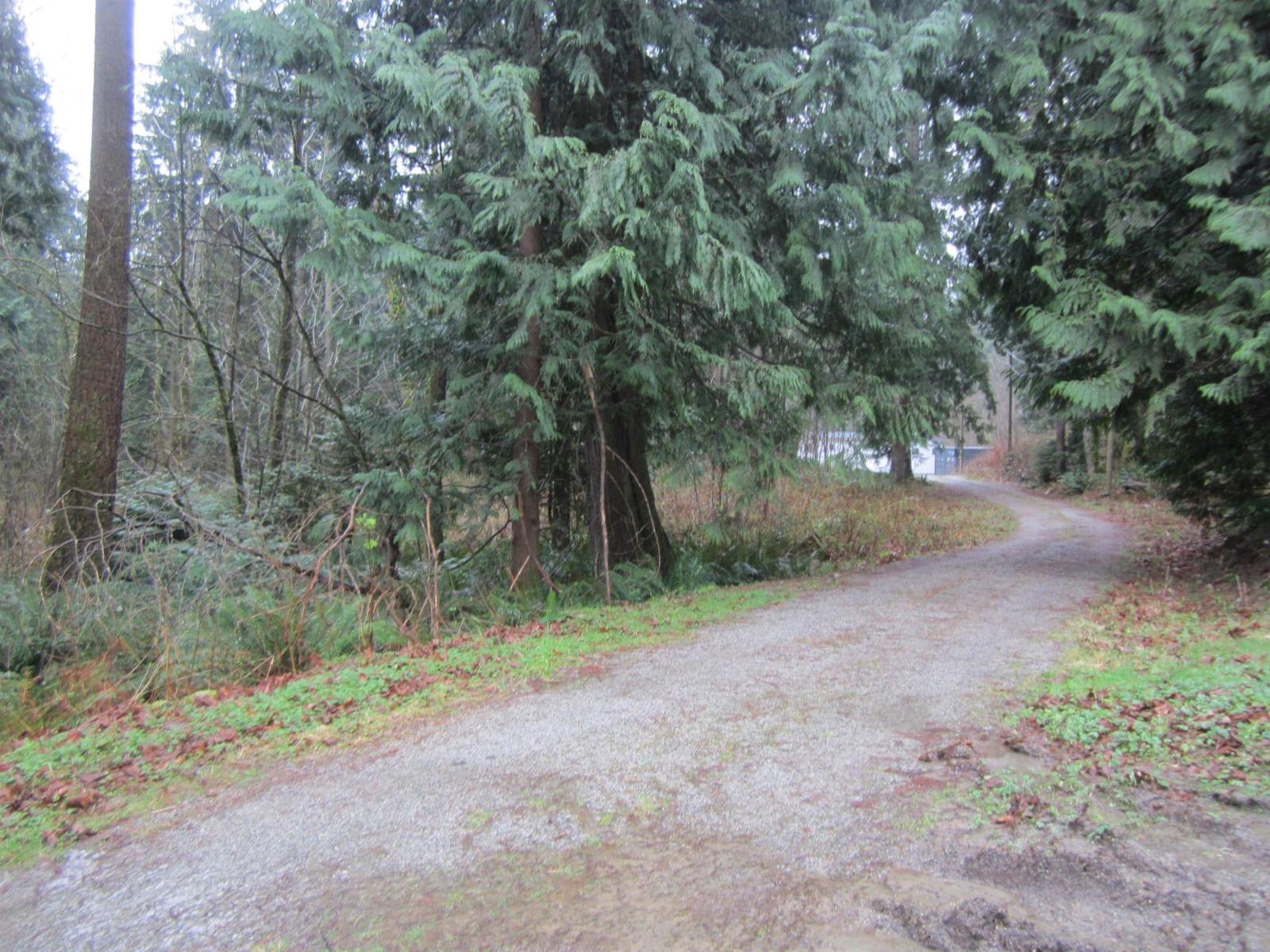 11121 Barnes Road Property Photo 16