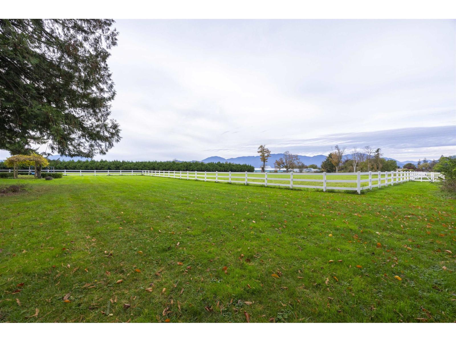 6911 Chilliwack River Road Property Photo 31