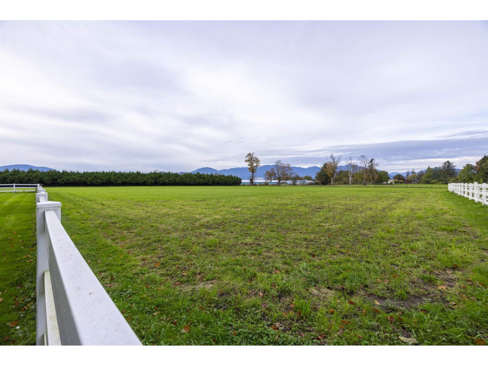 6911 Chilliwack River Road Property Photo 33