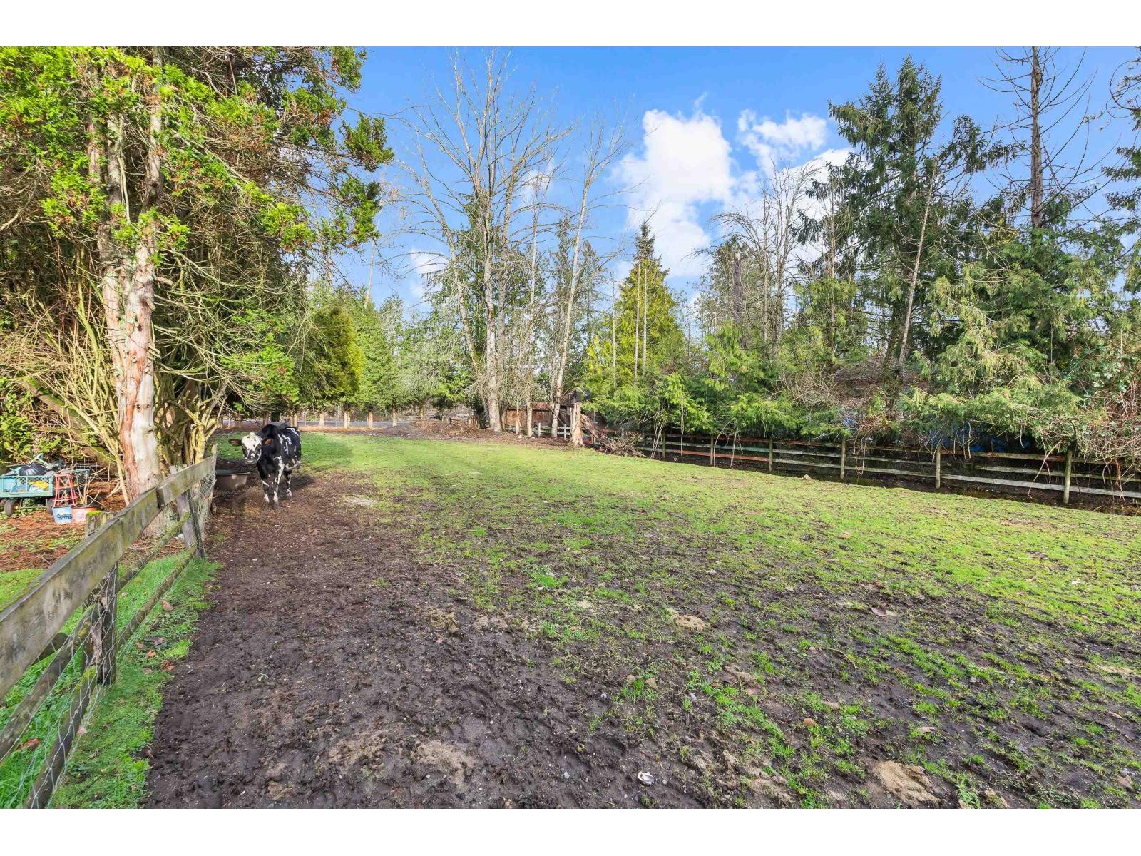 16184 20 Avenue Property Photo 12