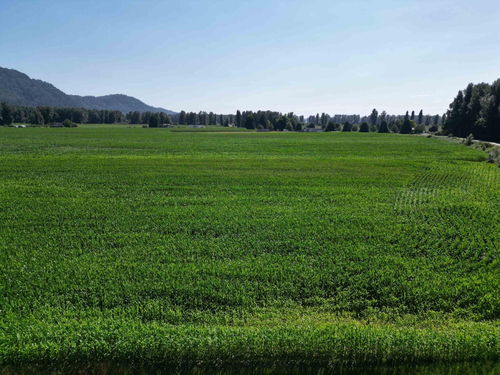 49ac Hyde Buker Road Property Photo 6