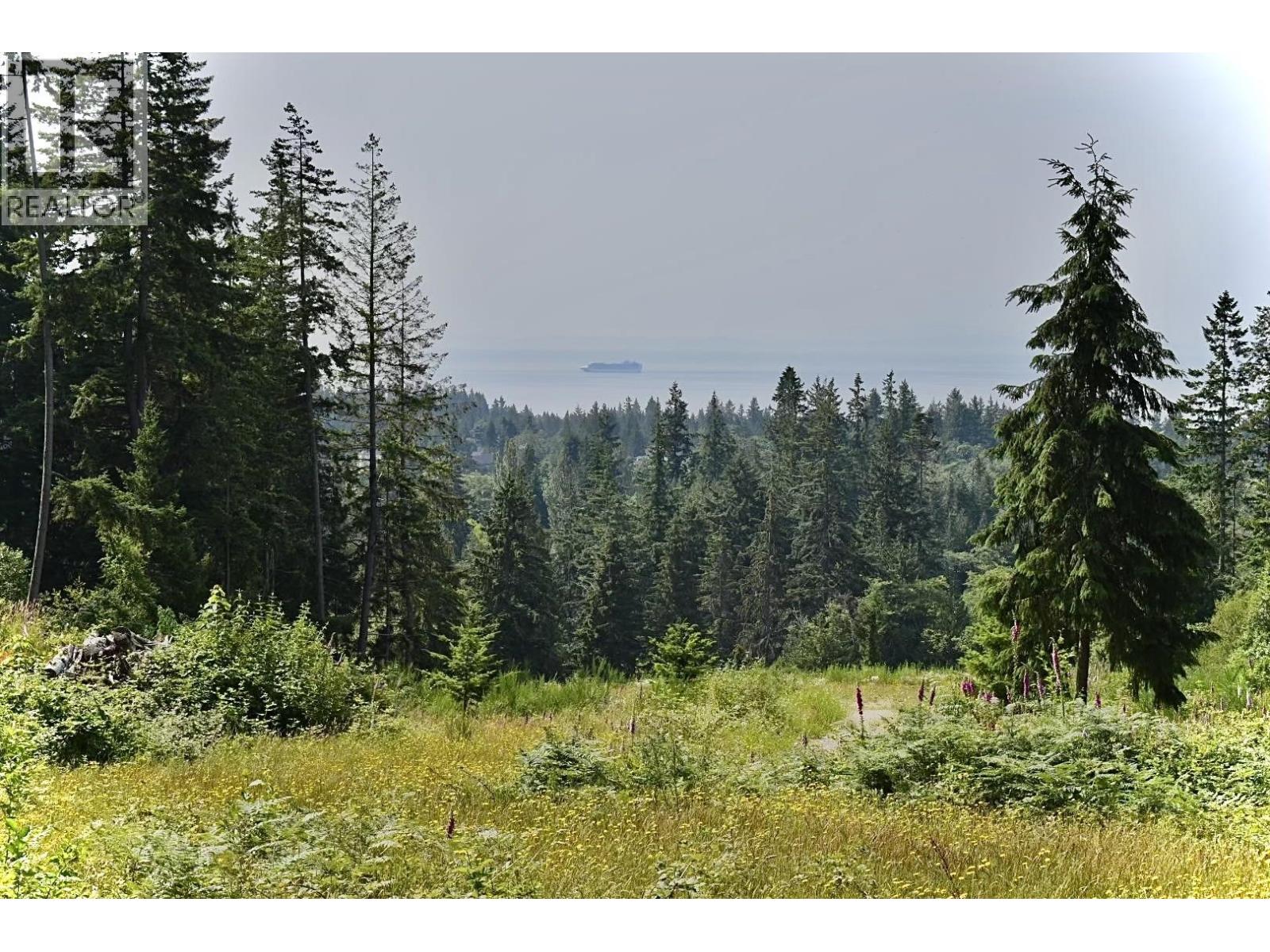 1491 Reed Road Property Photo 1
