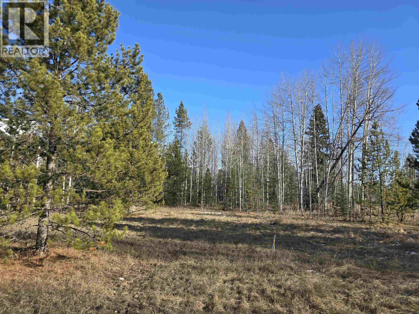 Lot 1 13th Avenue Property Photo 1