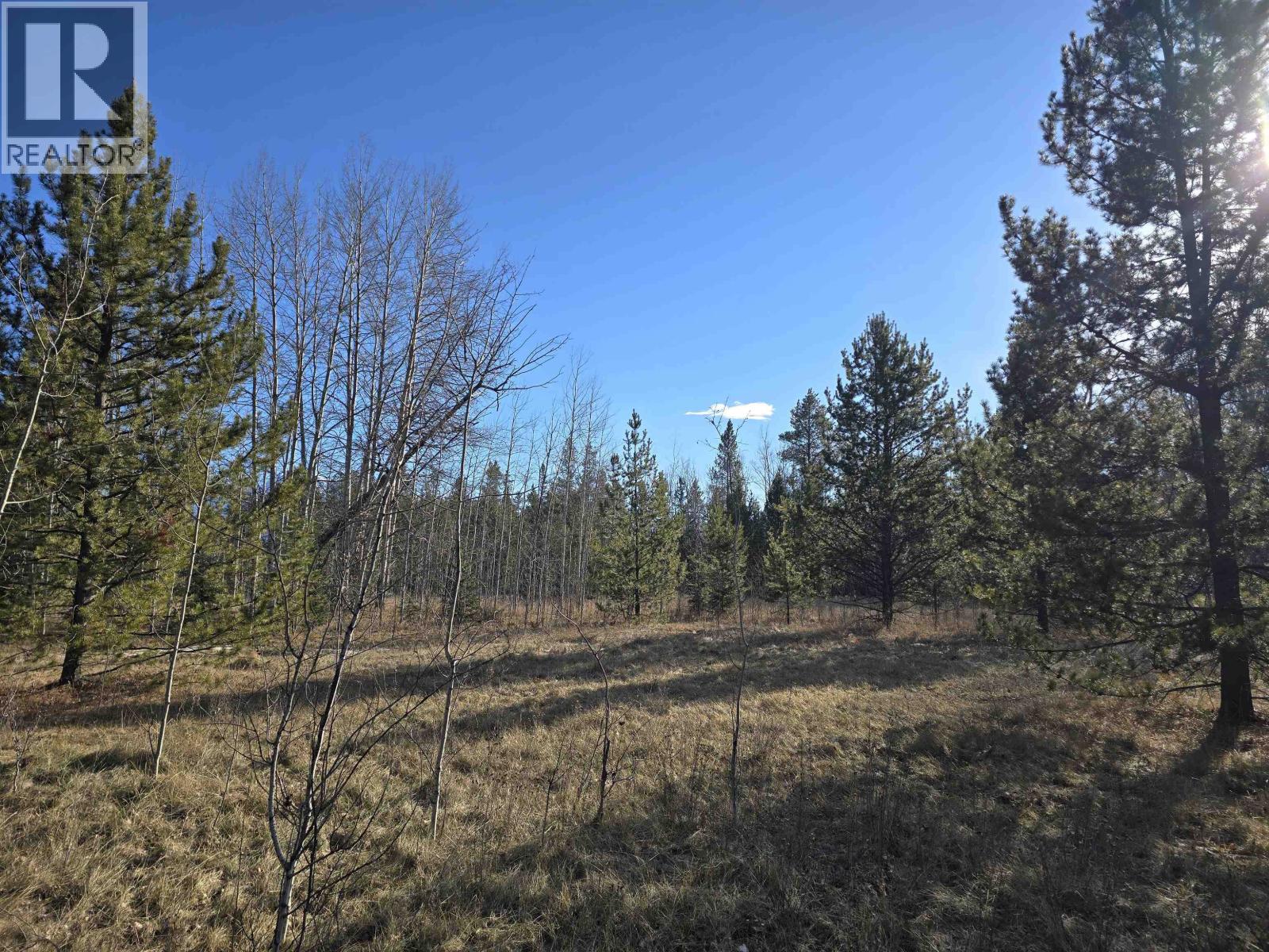 Lot 1 13th Avenue Property Photo 2