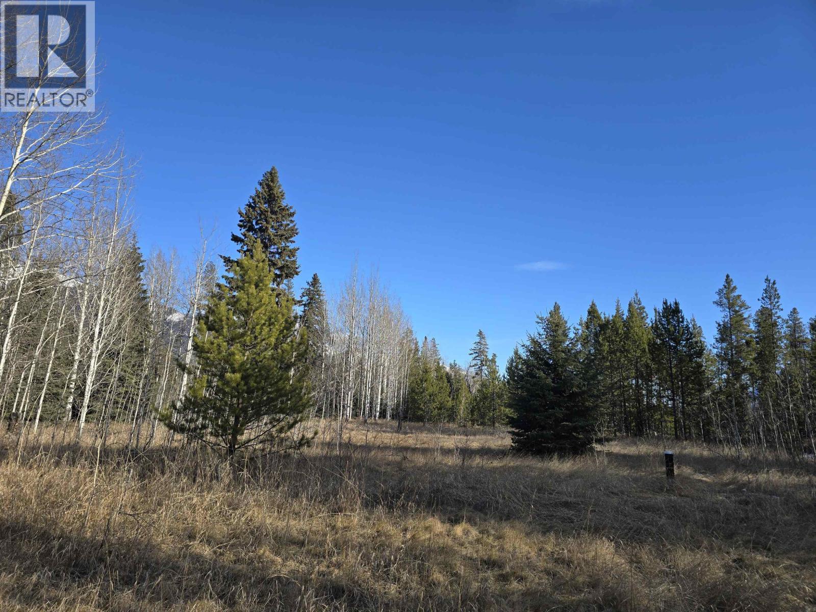 Lot 1 13th Avenue Property Photo 3