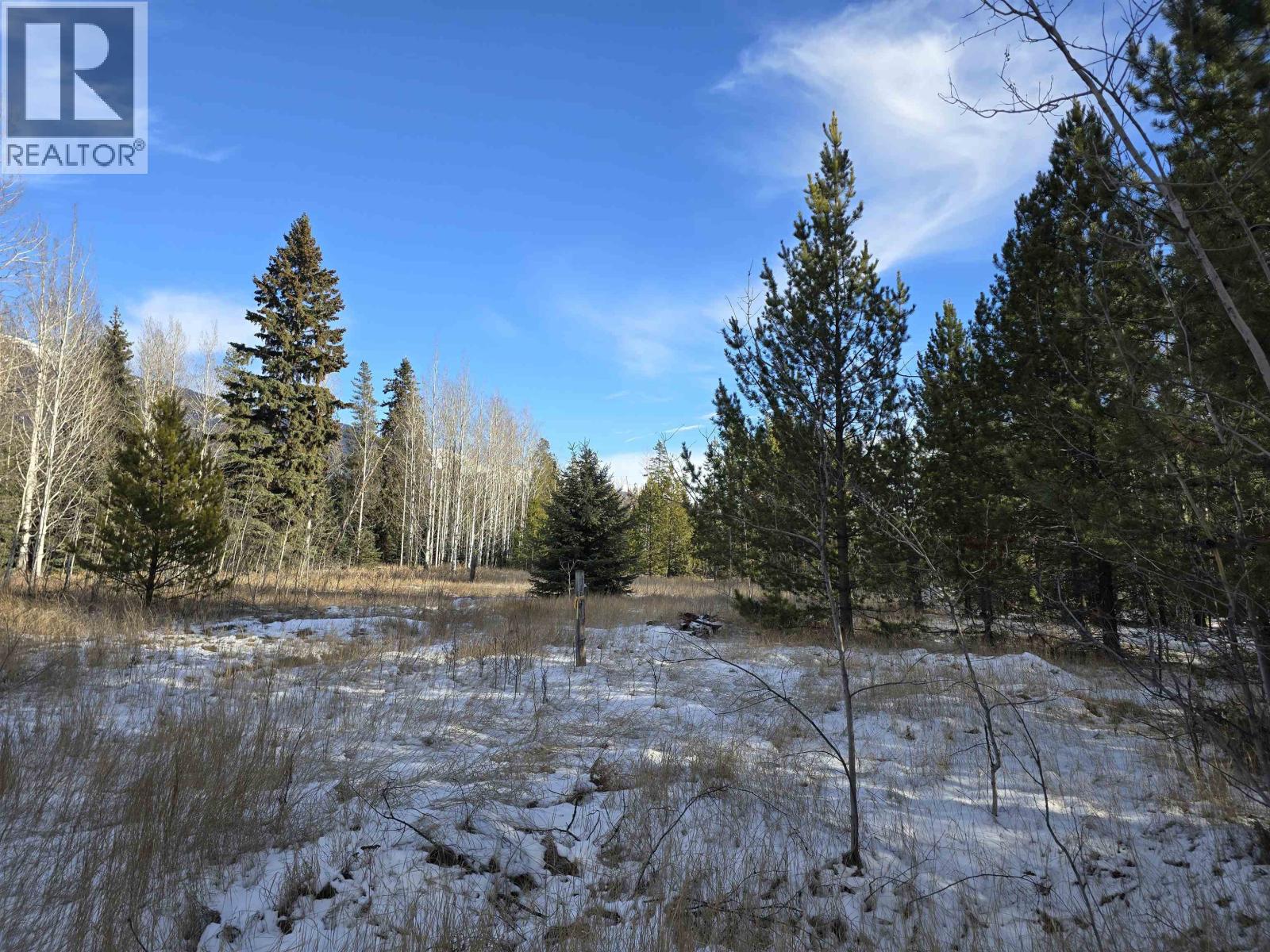 Lot 1 13th Avenue Property Photo 4
