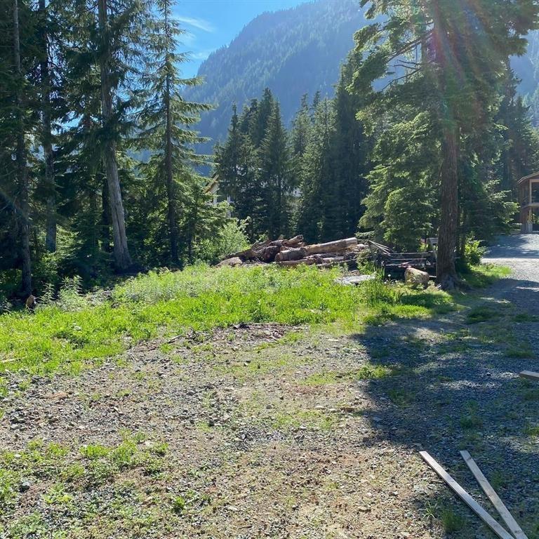 47065 Snowmist Drive Property Photo 8