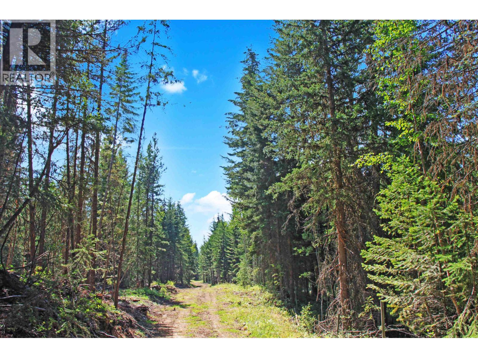 Lot 10 N Bridge Lake Road Property Photo 15