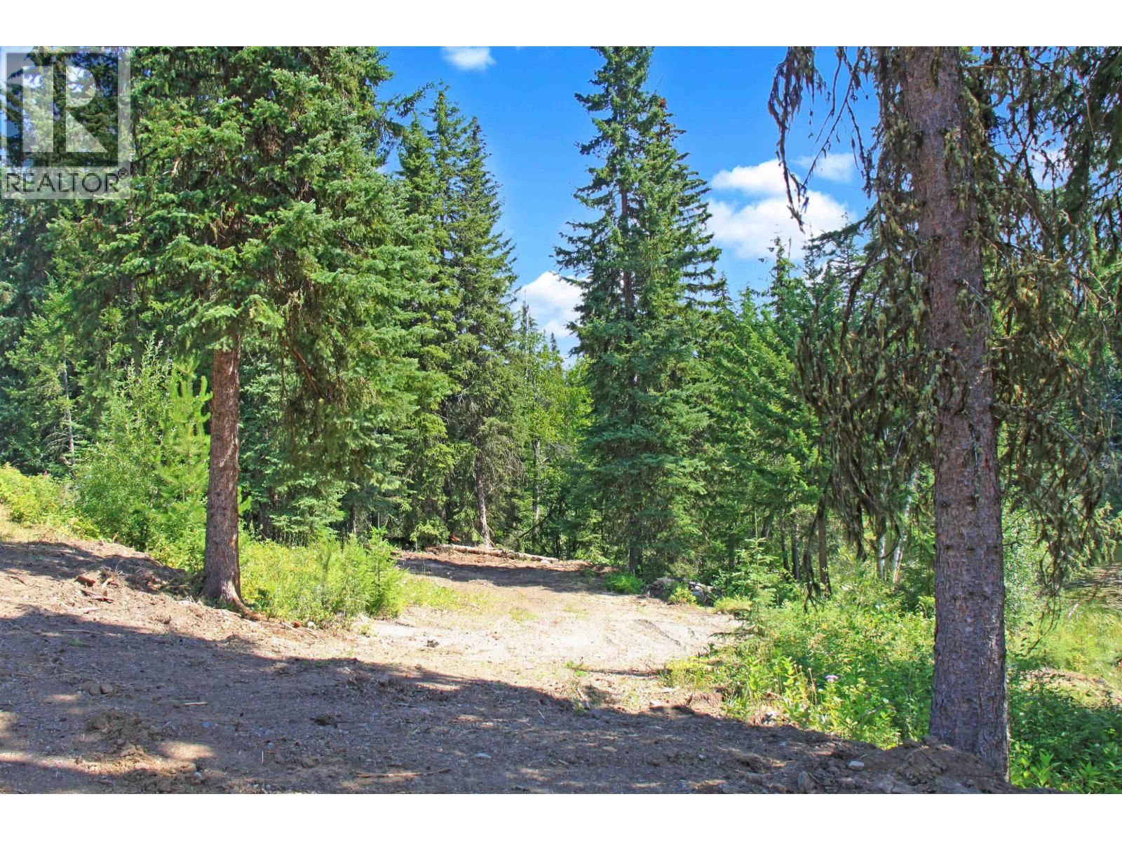 Lot 10 N Bridge Lake Road Property Photo 32