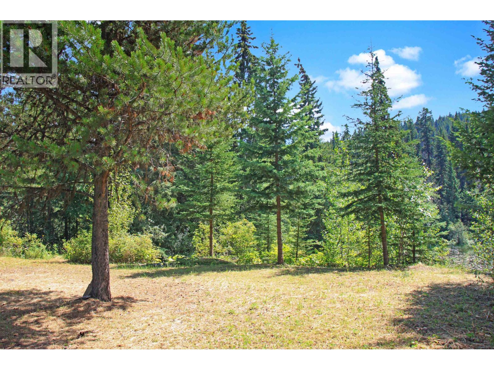 Lot 10 N Bridge Lake Road Property Photo 38