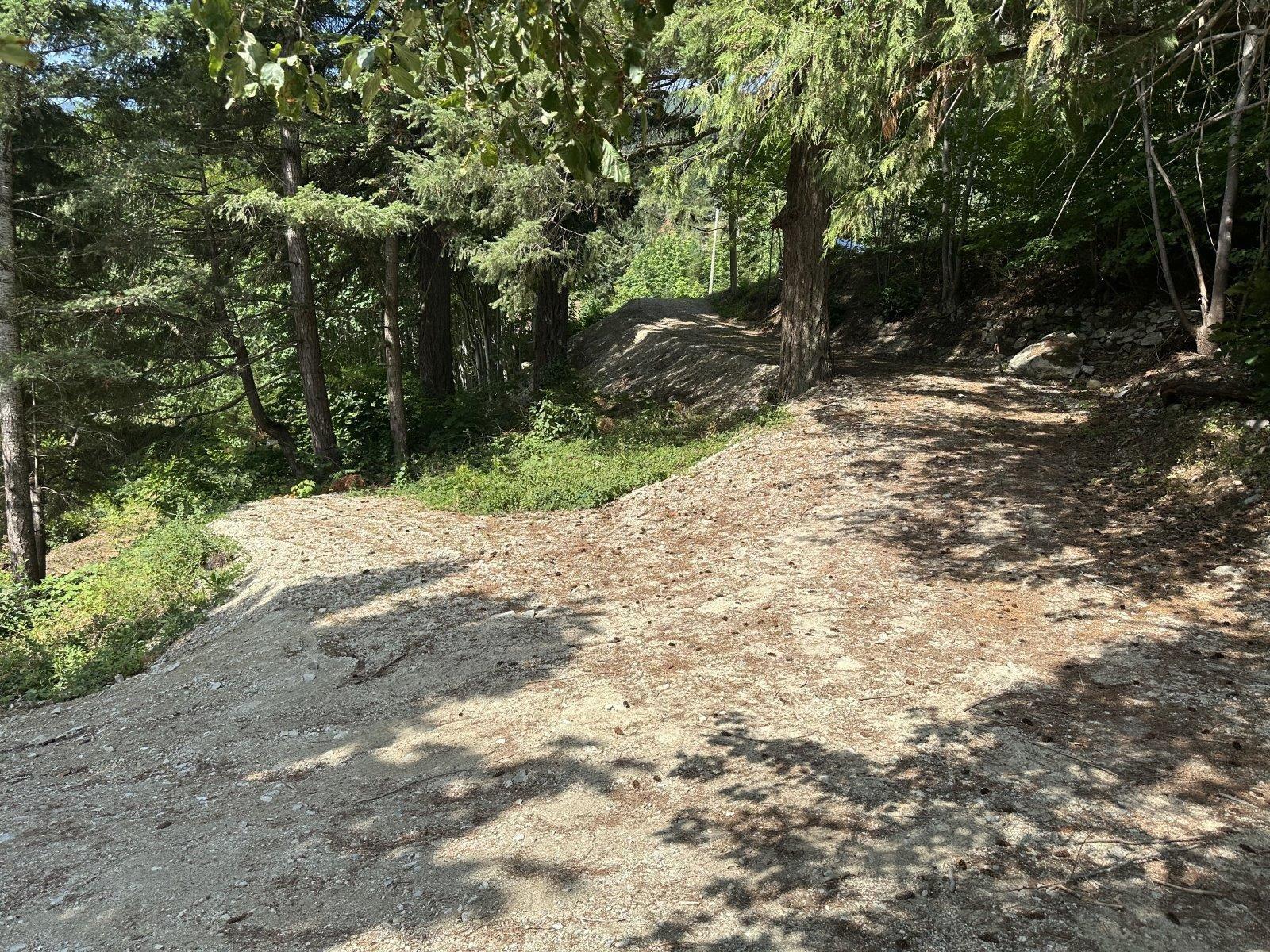 31010 Trans Canada Highway Property Photo 20