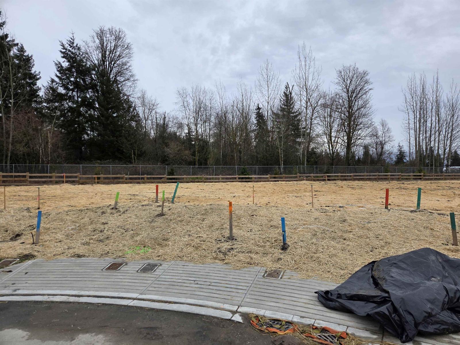 2589 Crossing Court Property Photo 5