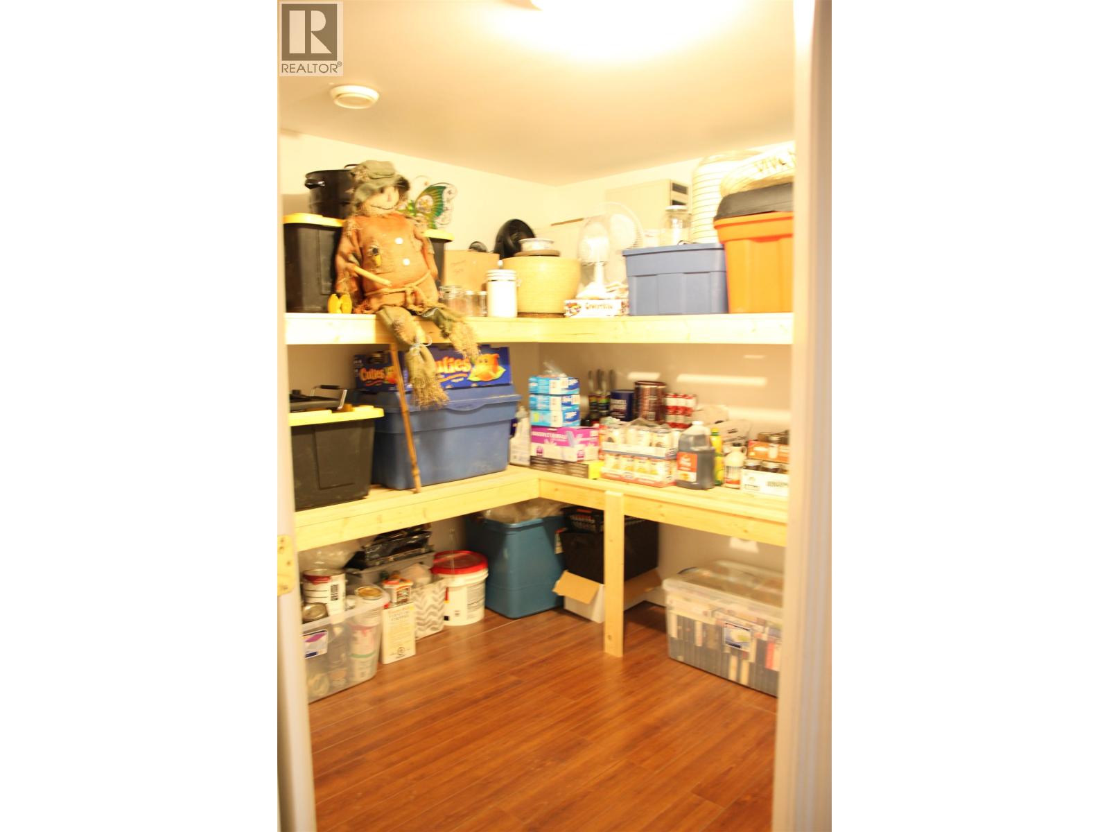 4907 Peasim Court Property Photo 25