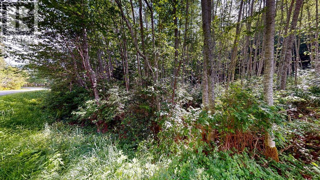 Lot 115 Murdoch Road Property Photo 12