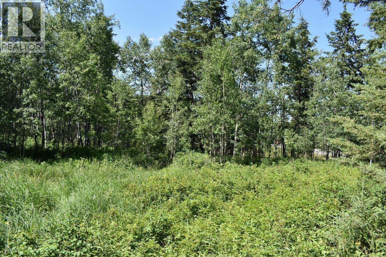 417 Woodland Drive Property Photo 12