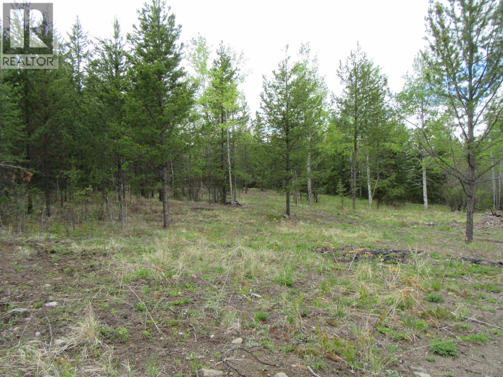 Lot B Lone Butte Horse Lake Road Property Photo 5