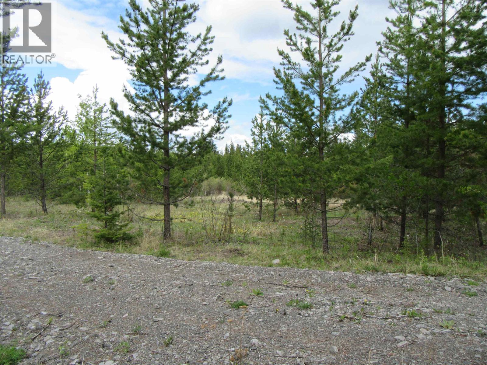 Lot B Lone Butte Horse Lake Road Property Photo 6