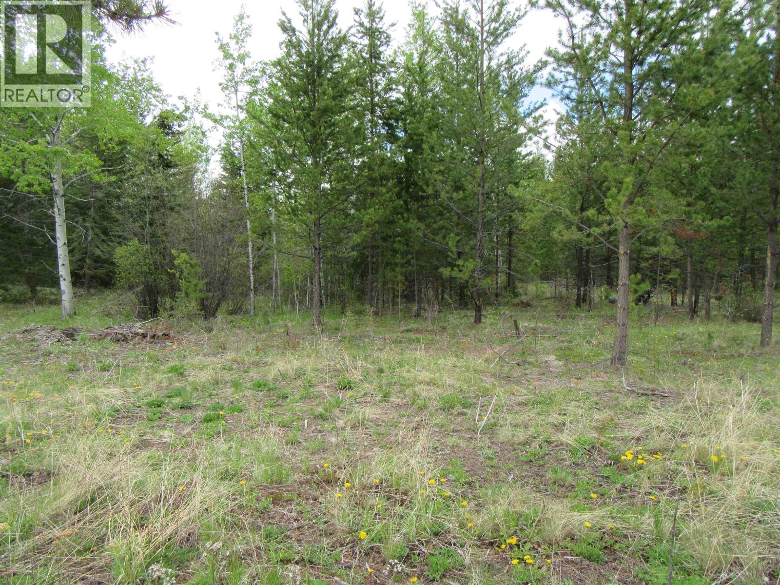 Lot B Lone Butte Horse Lake Road Property Photo 9