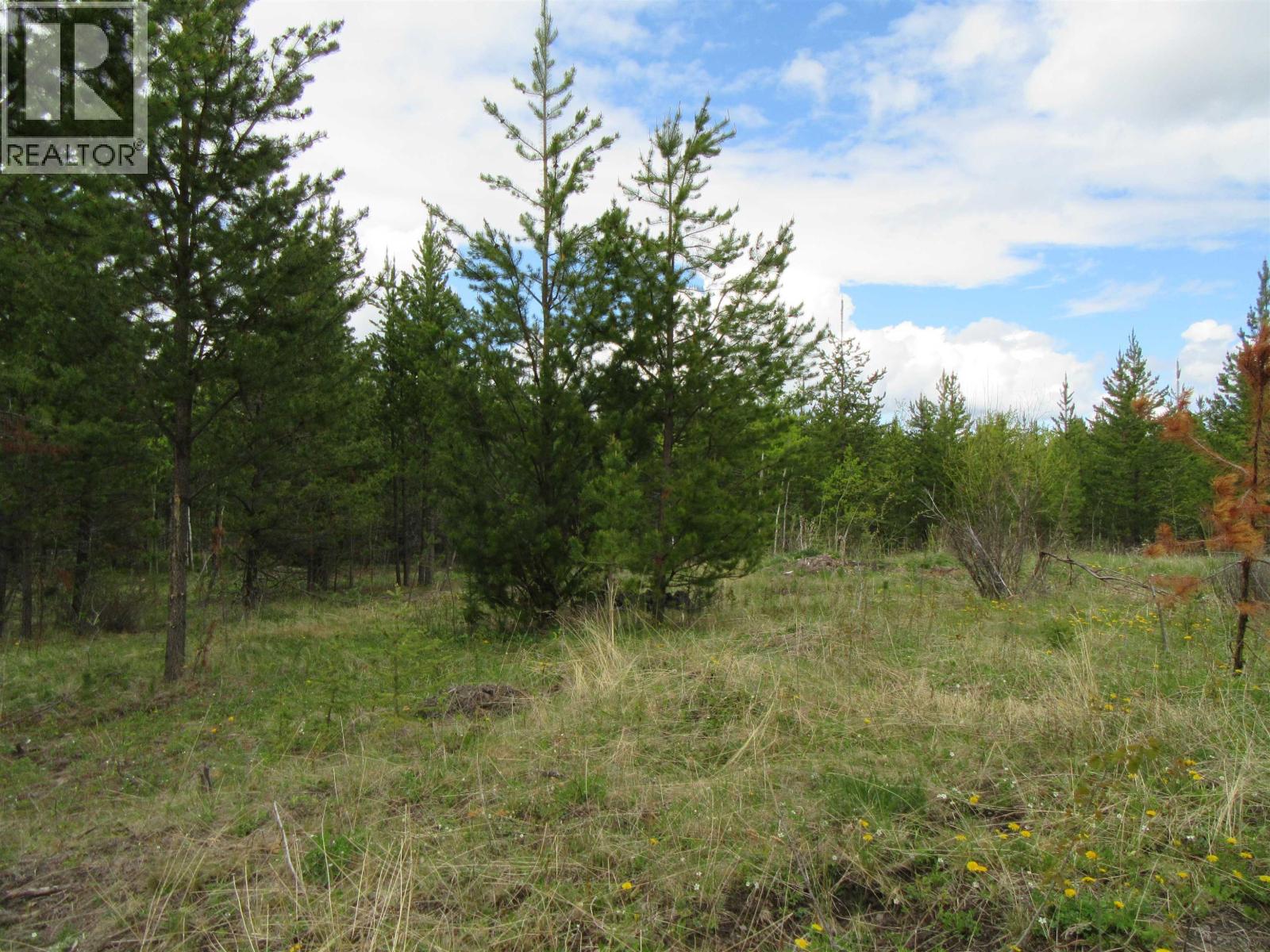 Lot B Lone Butte Horse Lake Road Property Photo 10