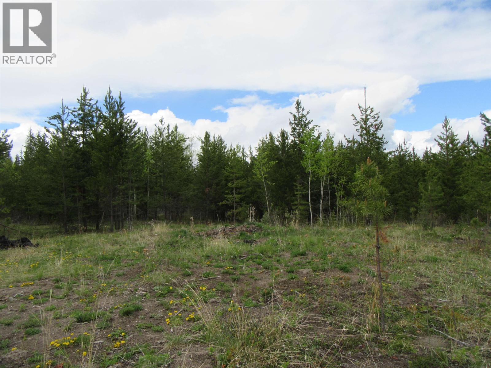 Lot B Lone Butte Horse Lake Road Property Photo 12