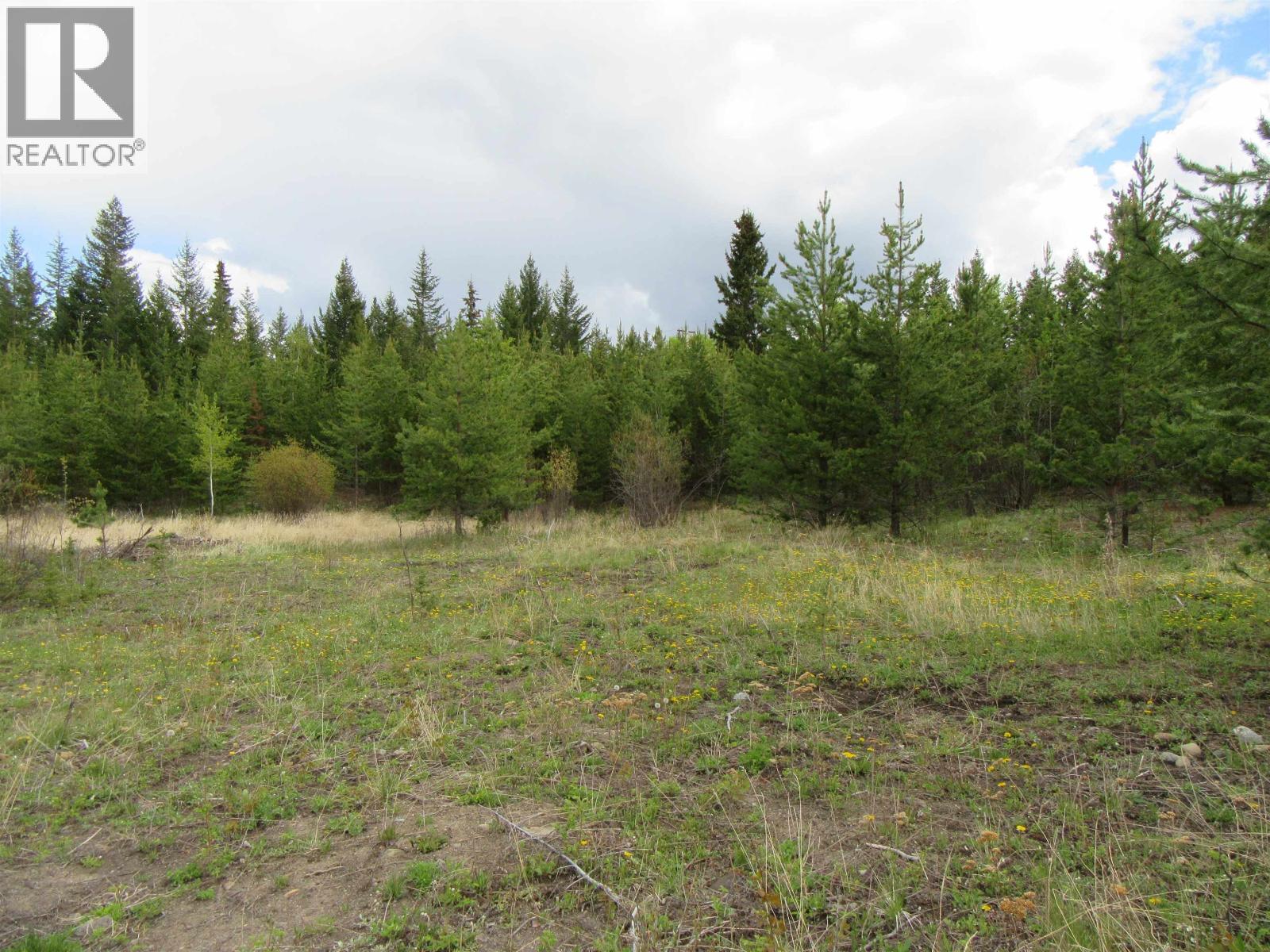 Lot B Lone Butte Horse Lake Road Property Photo 13