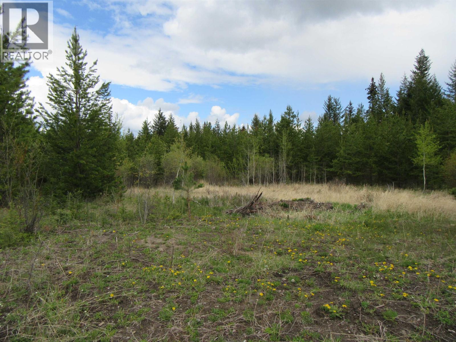 Lot B Lone Butte Horse Lake Road Property Photo 14