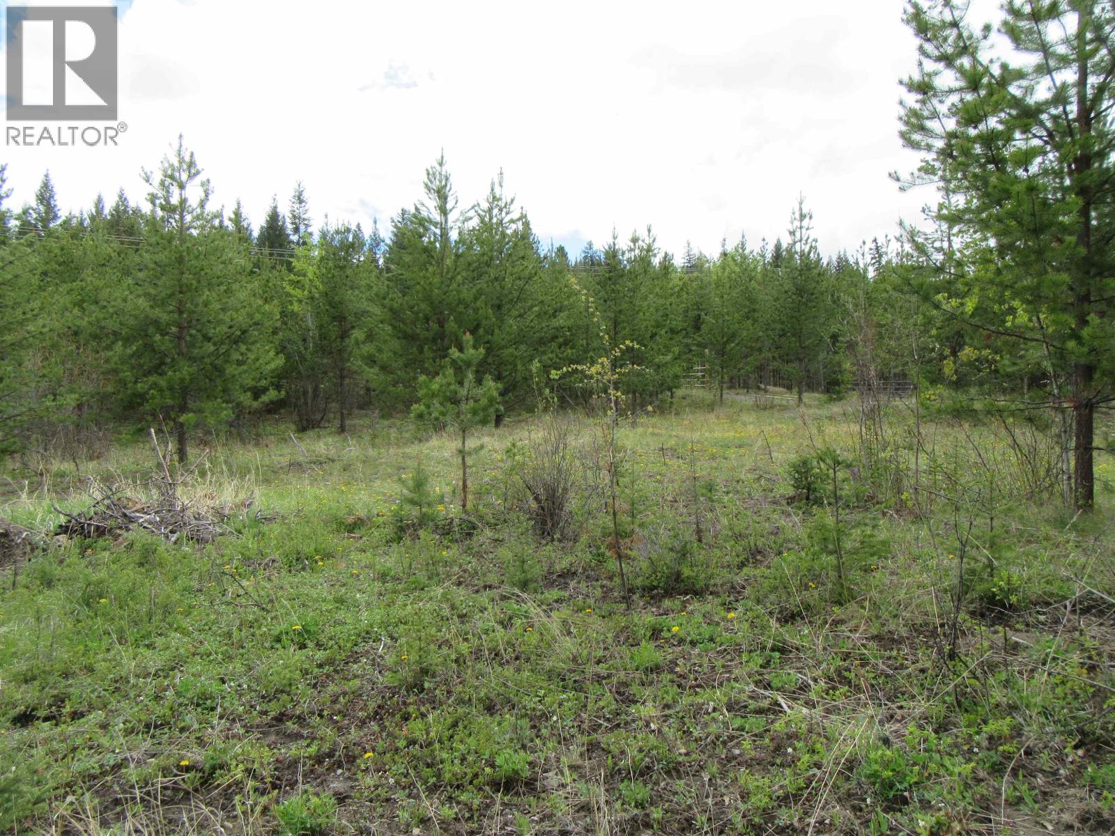 Lot B Lone Butte Horse Lake Road Property Photo 15