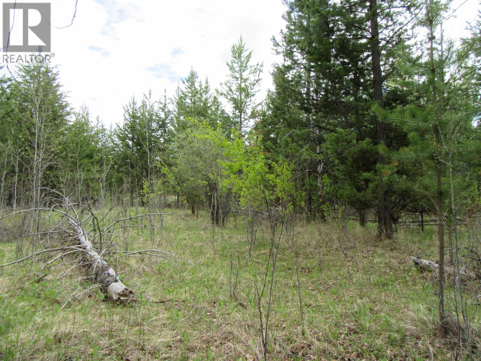 Lot B Lone Butte Horse Lake Road Property Photo 18