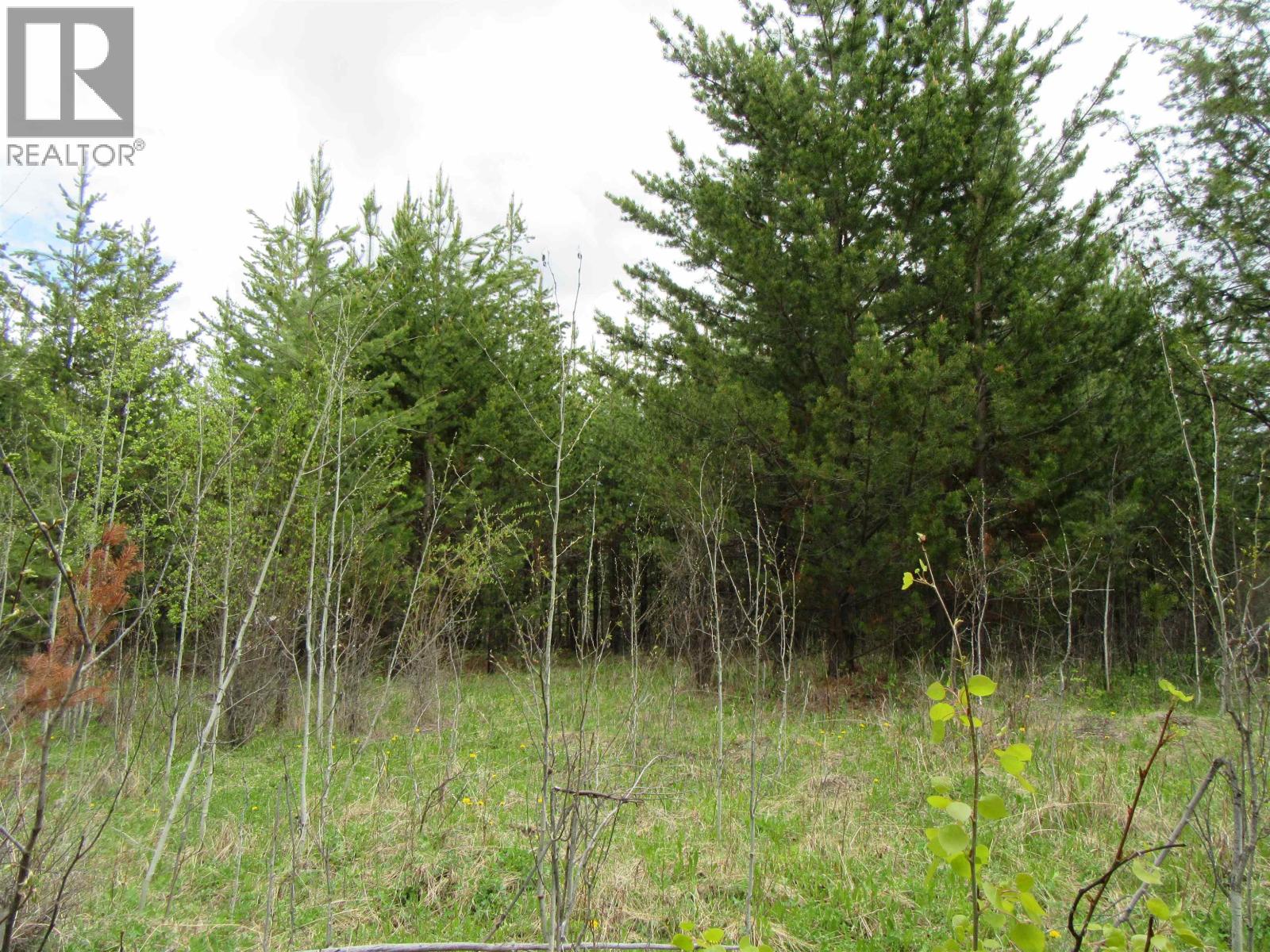 Lot B Lone Butte Horse Lake Road Property Photo 19