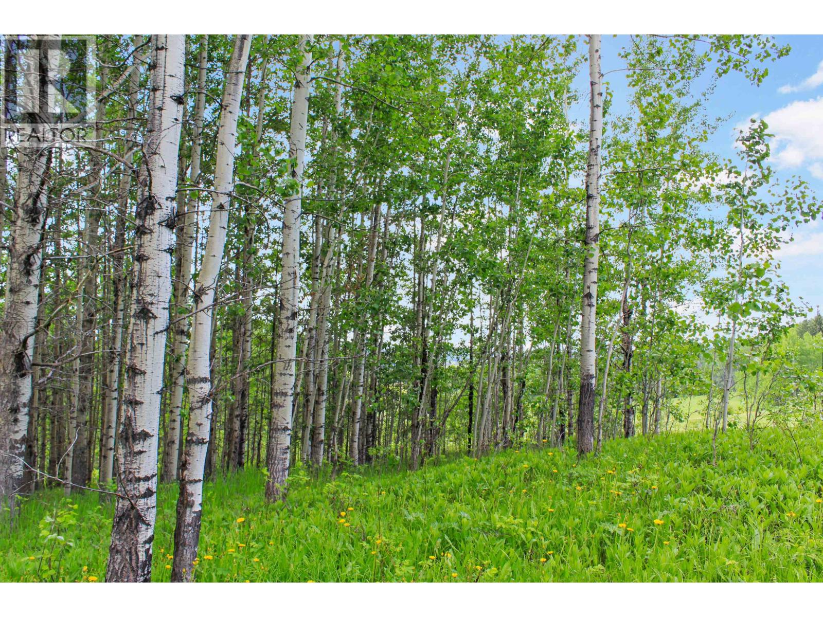 Lot B Little Fort 24 Highway Property Photo 6