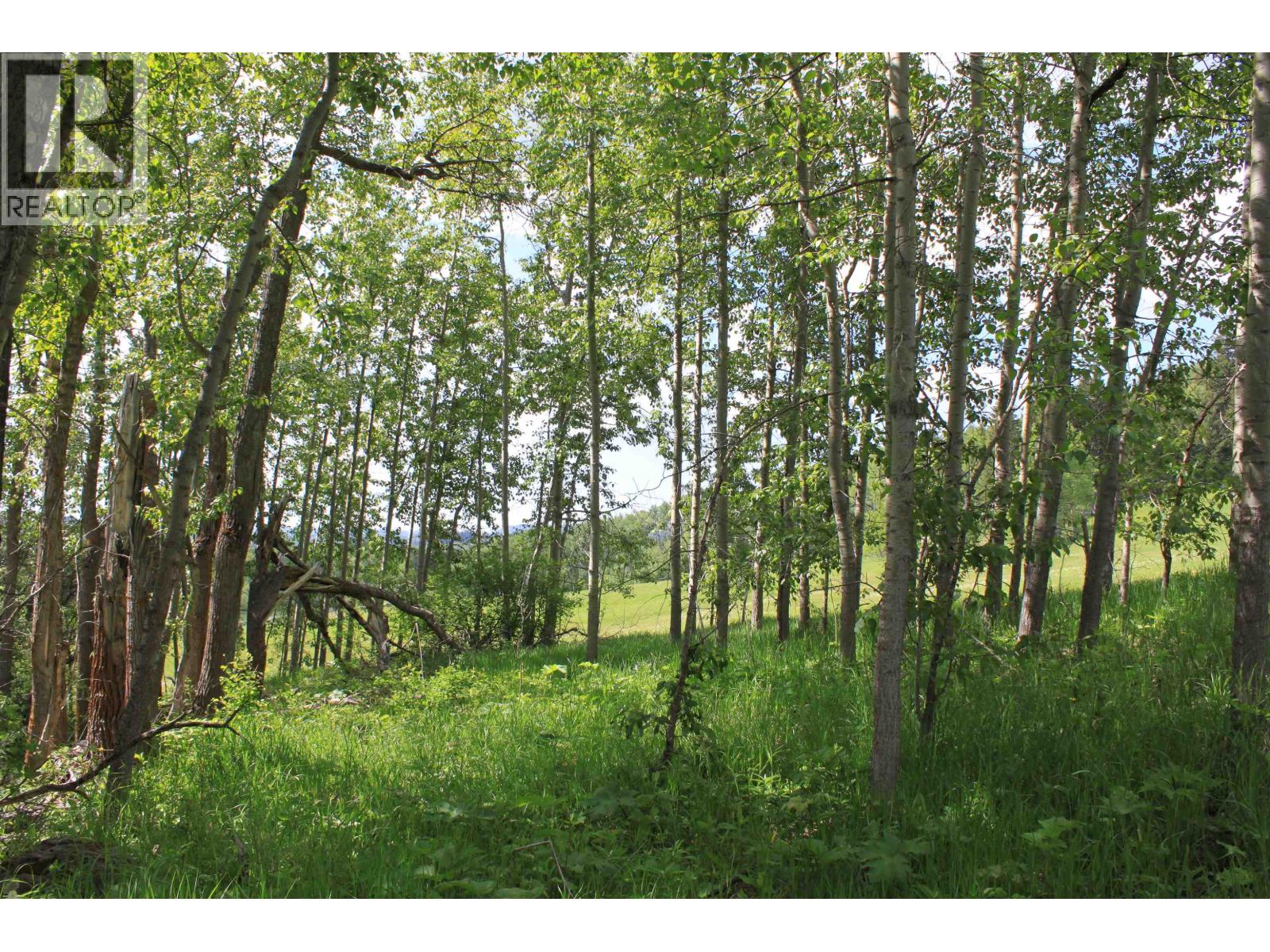 Lot B Little Fort 24 Highway Property Photo 8