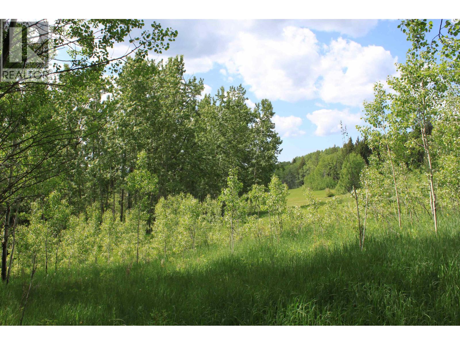 Lot B Little Fort 24 Highway Property Photo 25