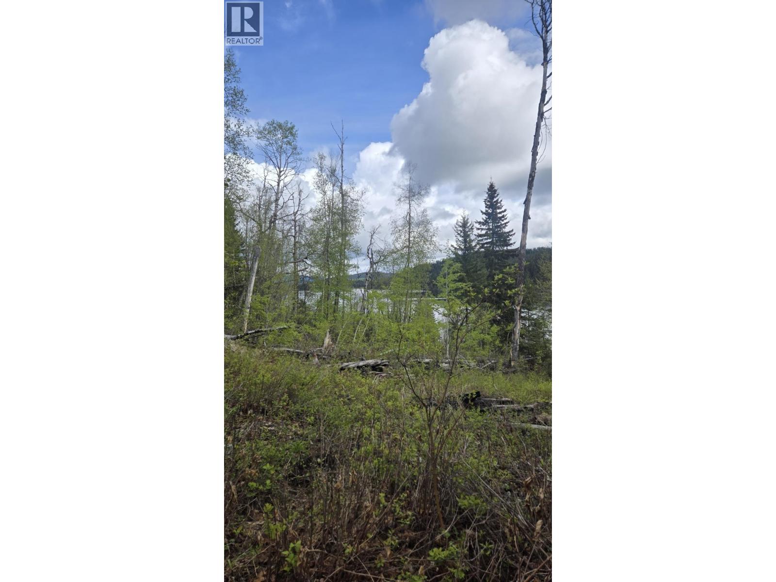5858 Mahood Lake Road Property Photo 8