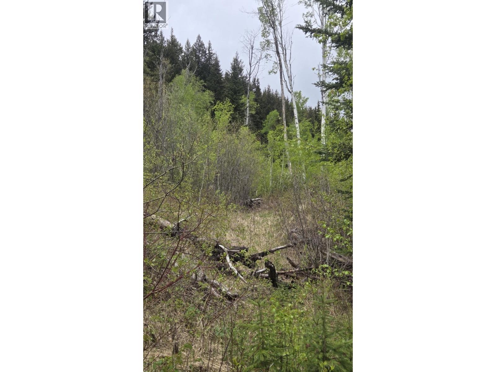 5858 Mahood Lake Road Property Photo 11