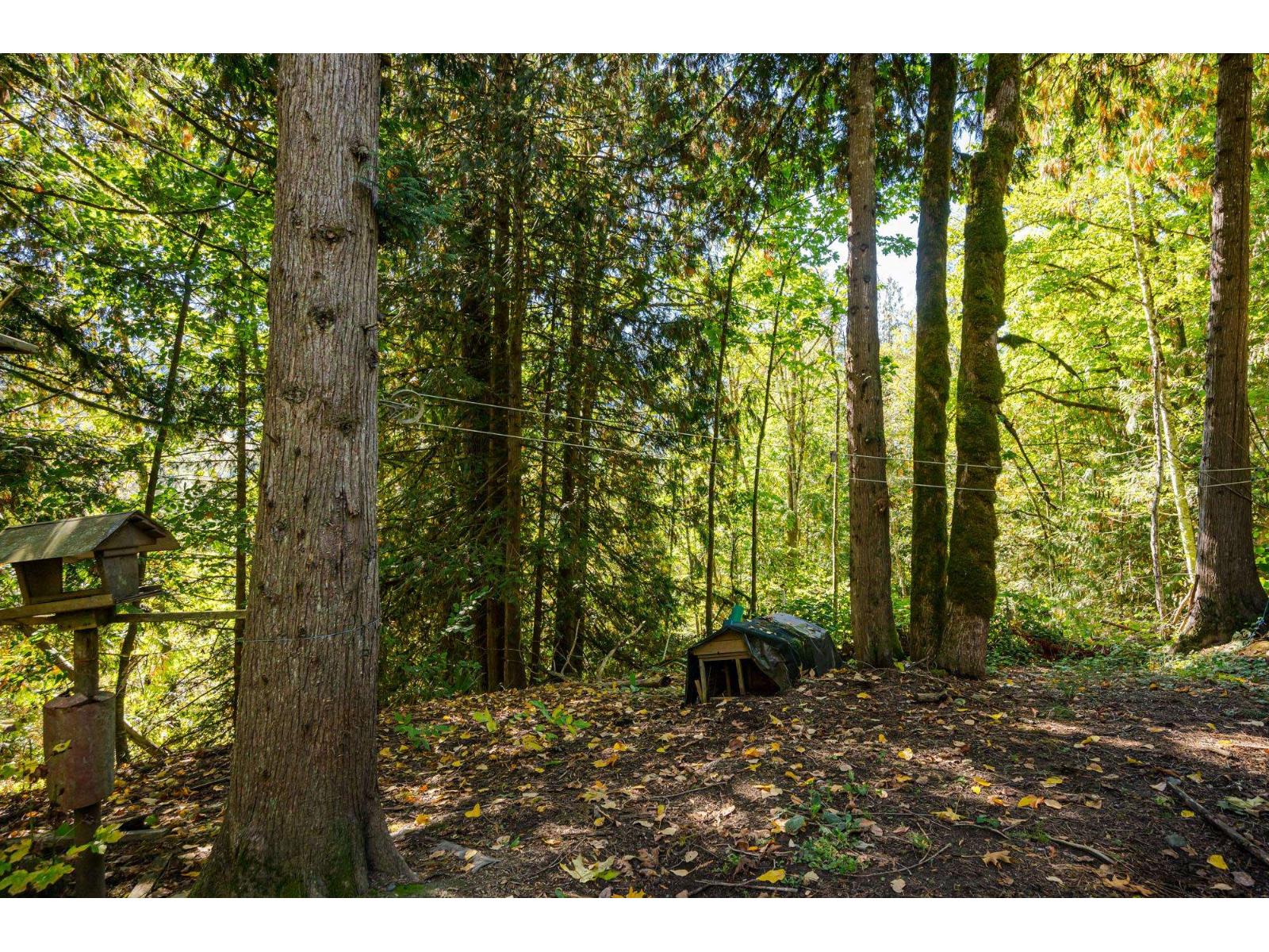 50802 Winona Road Property Photo 31