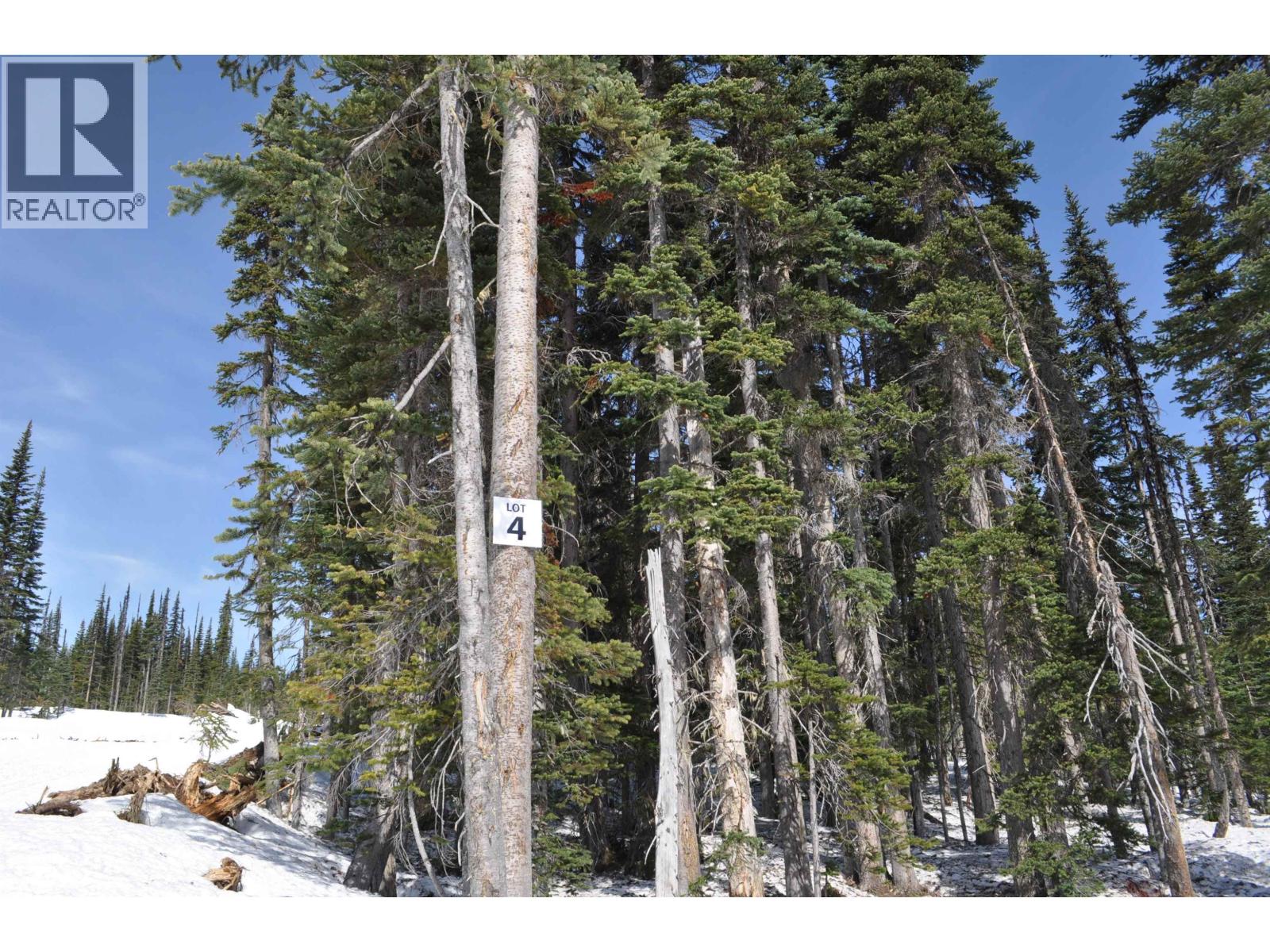PT. ST 4 ALPINE WAY Property Photo 1