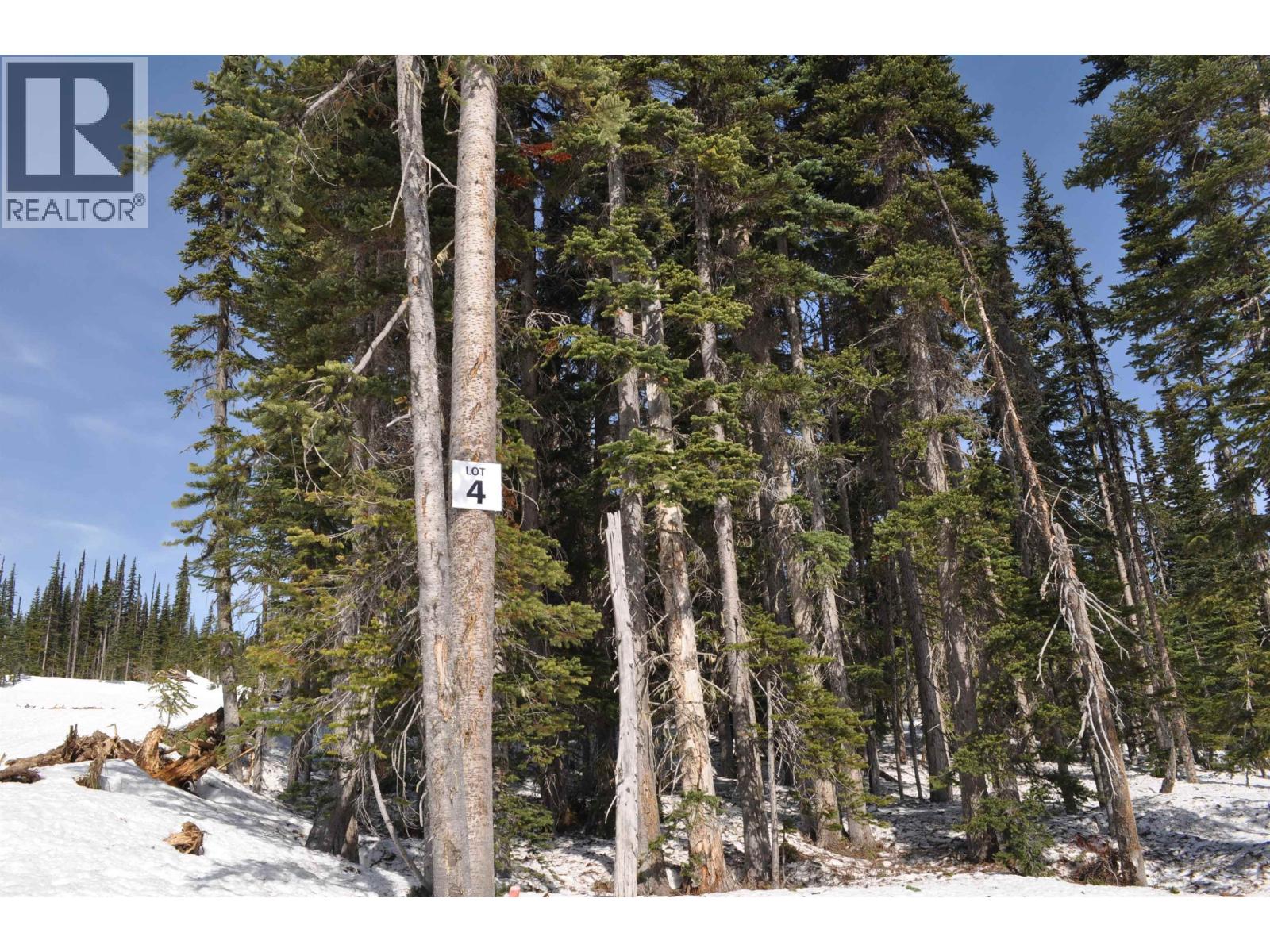 Pt. St 4 Alpine Way Property Photo 2