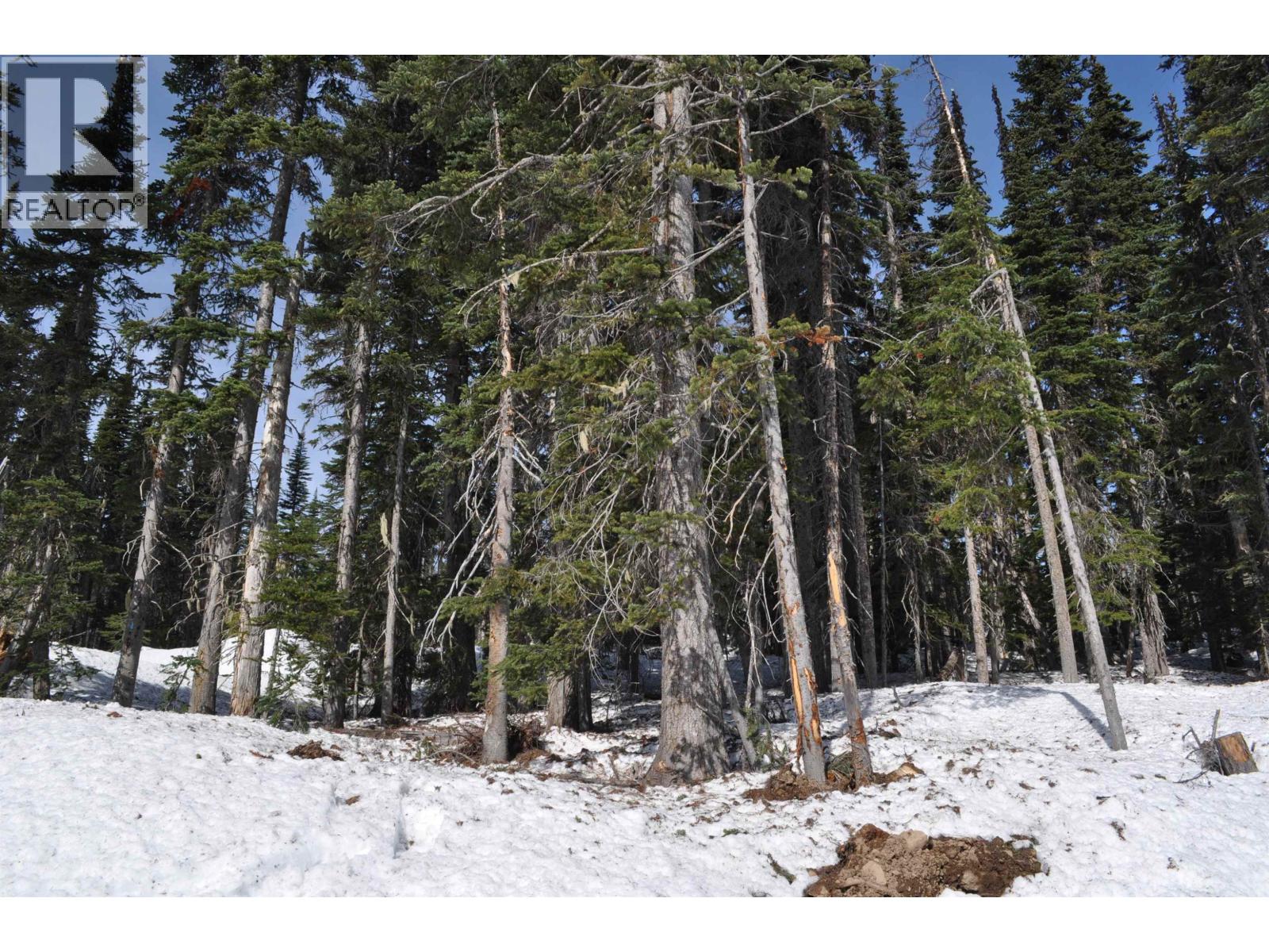 Pt. St 4 Alpine Way Property Photo 8