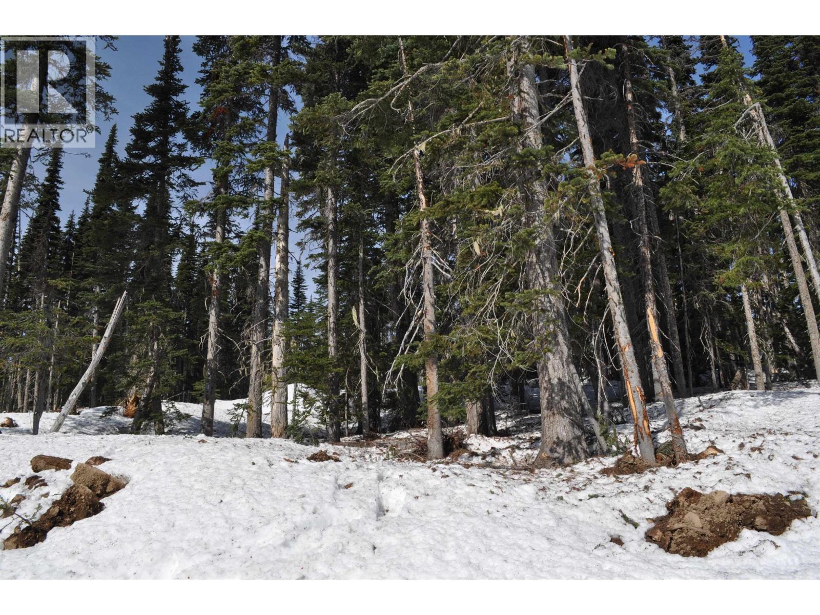 Pt. St 4 Alpine Way Property Photo 9