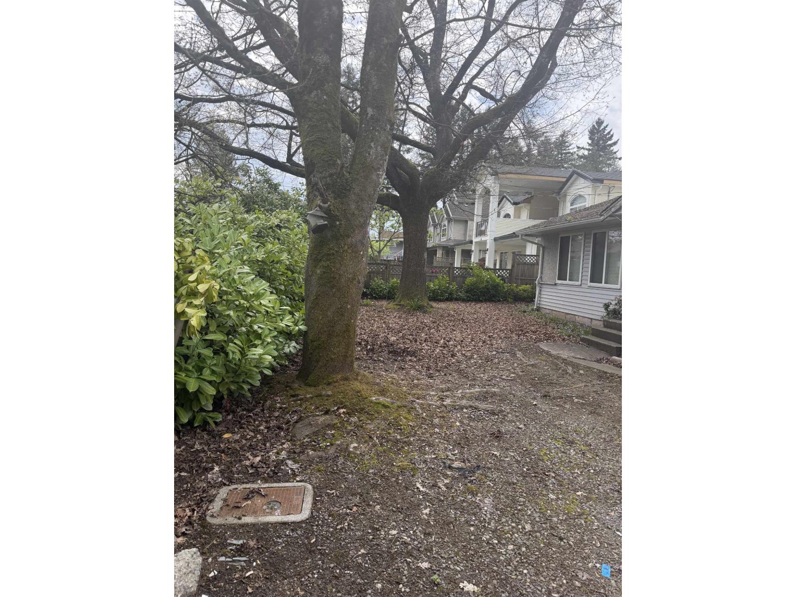 10269 132 Street Property Photo 2