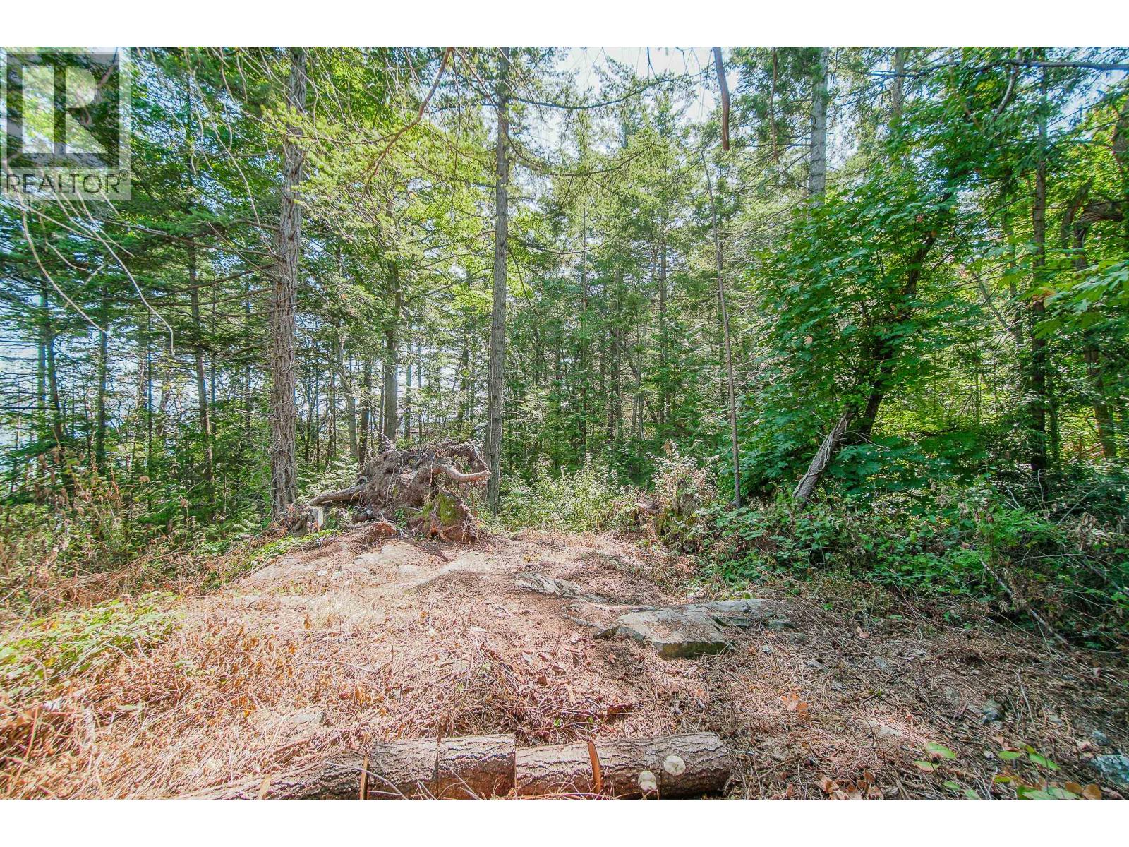 16 Passage Island Property Photo 4