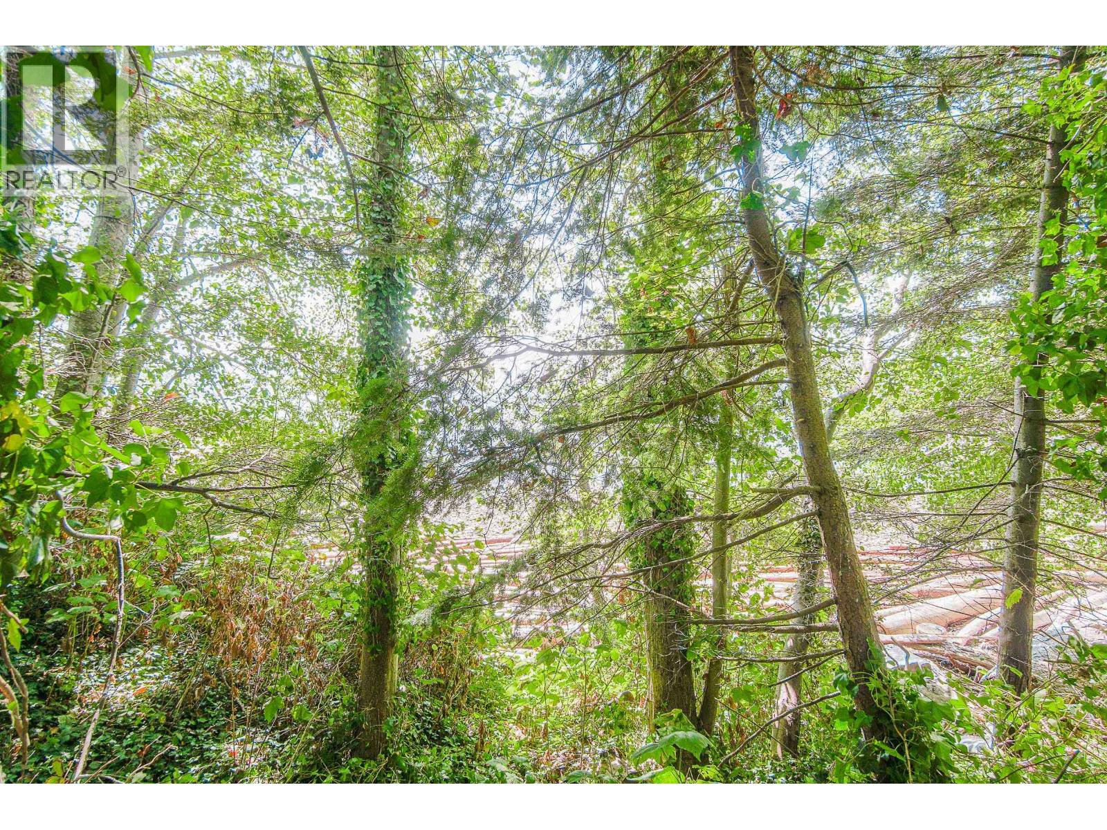 16 Passage Island Property Photo 9