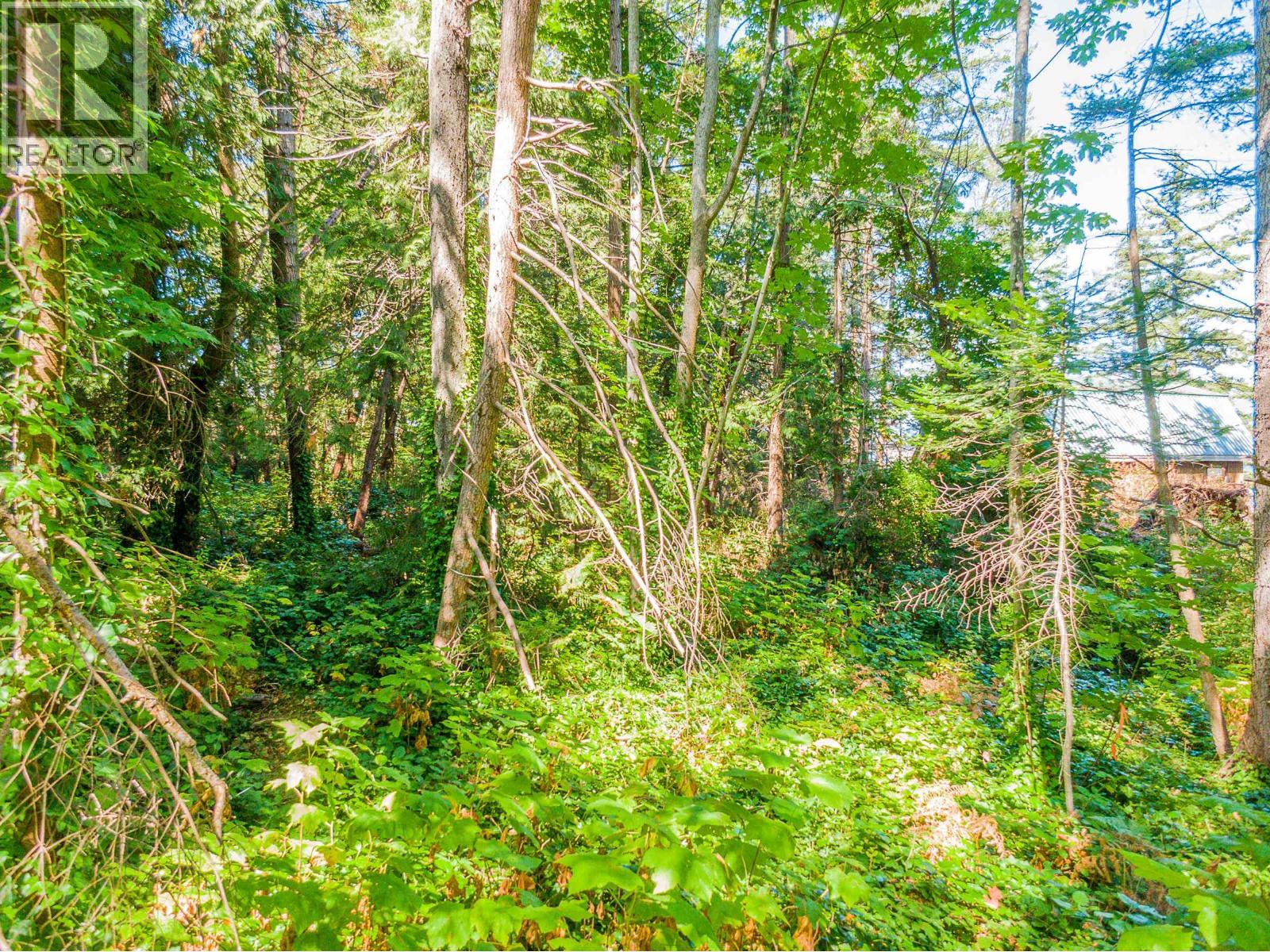 16 Passage Island Property Photo 12