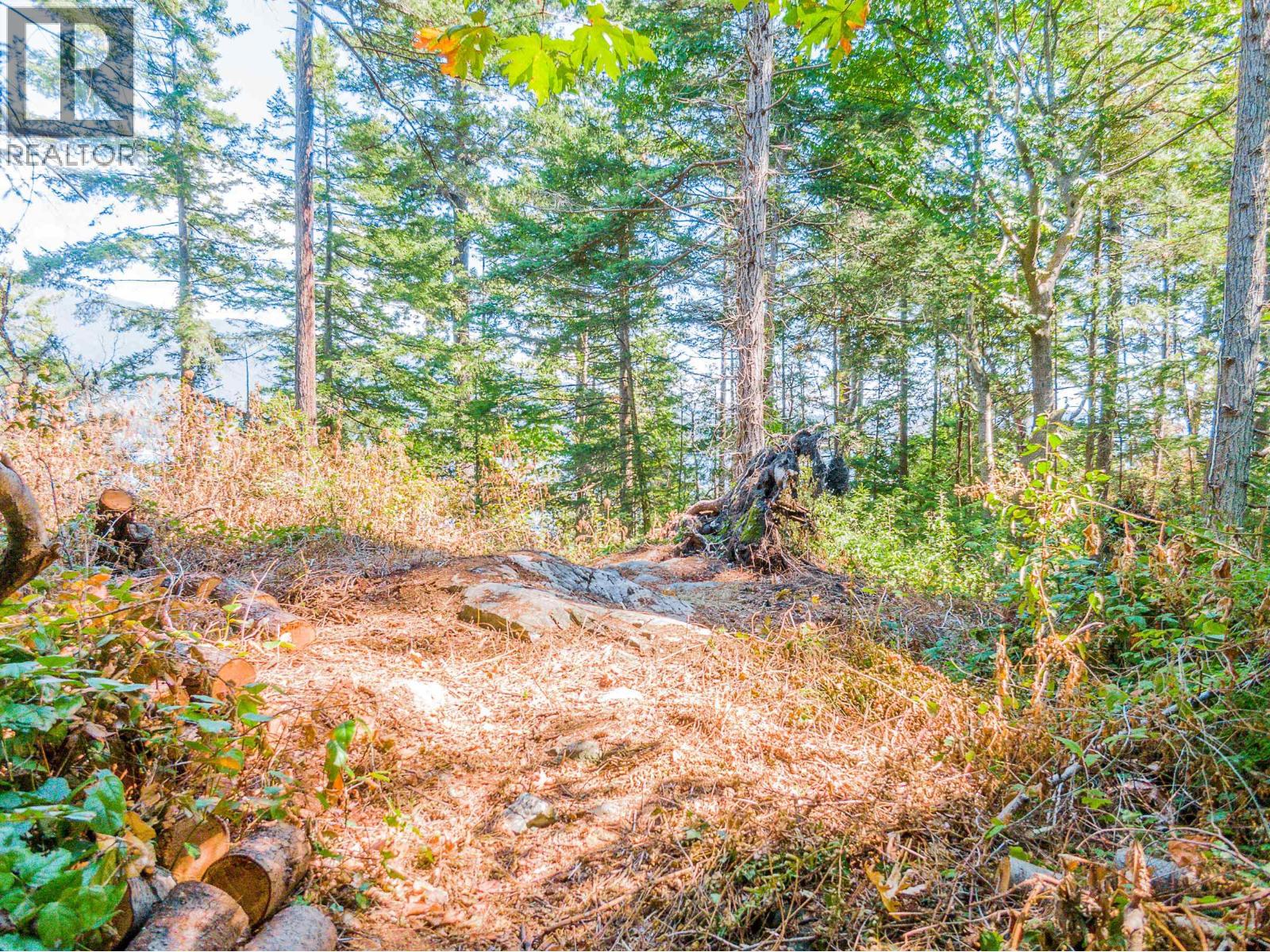 16 Passage Island Property Photo 15