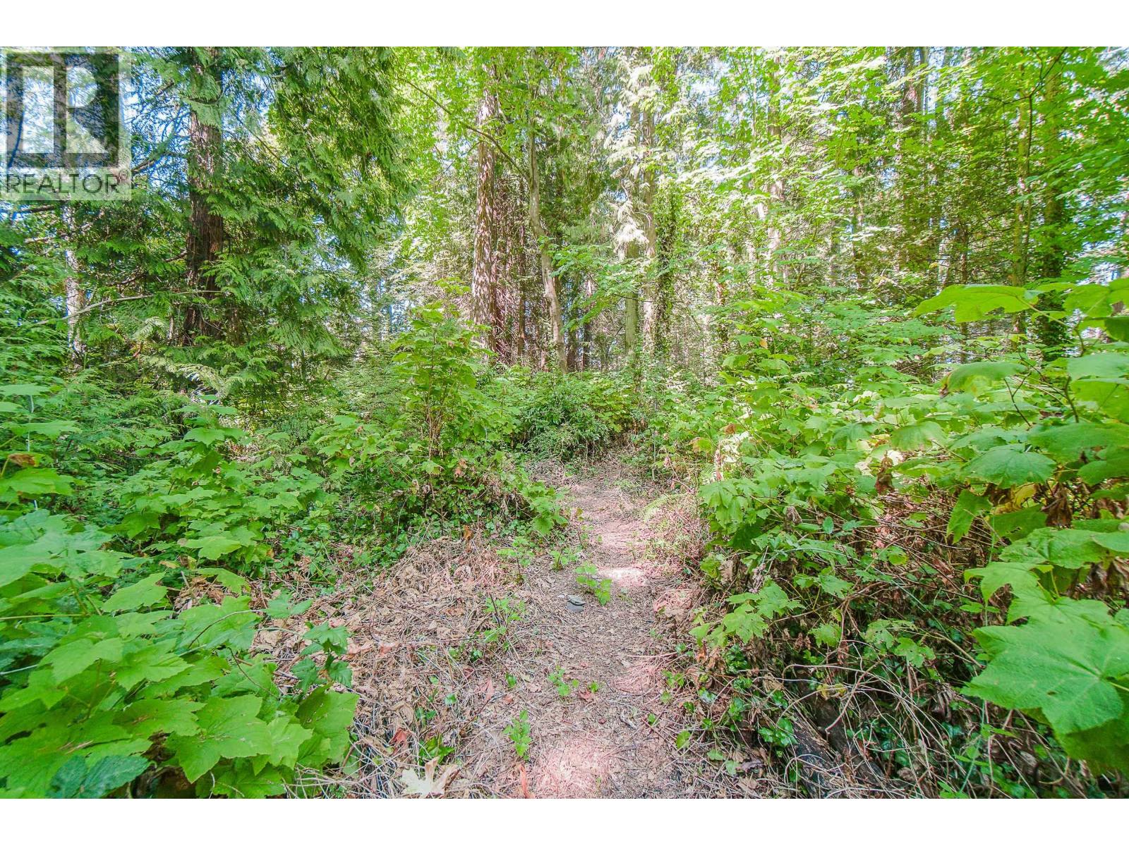 16 Passage Island Property Photo 21