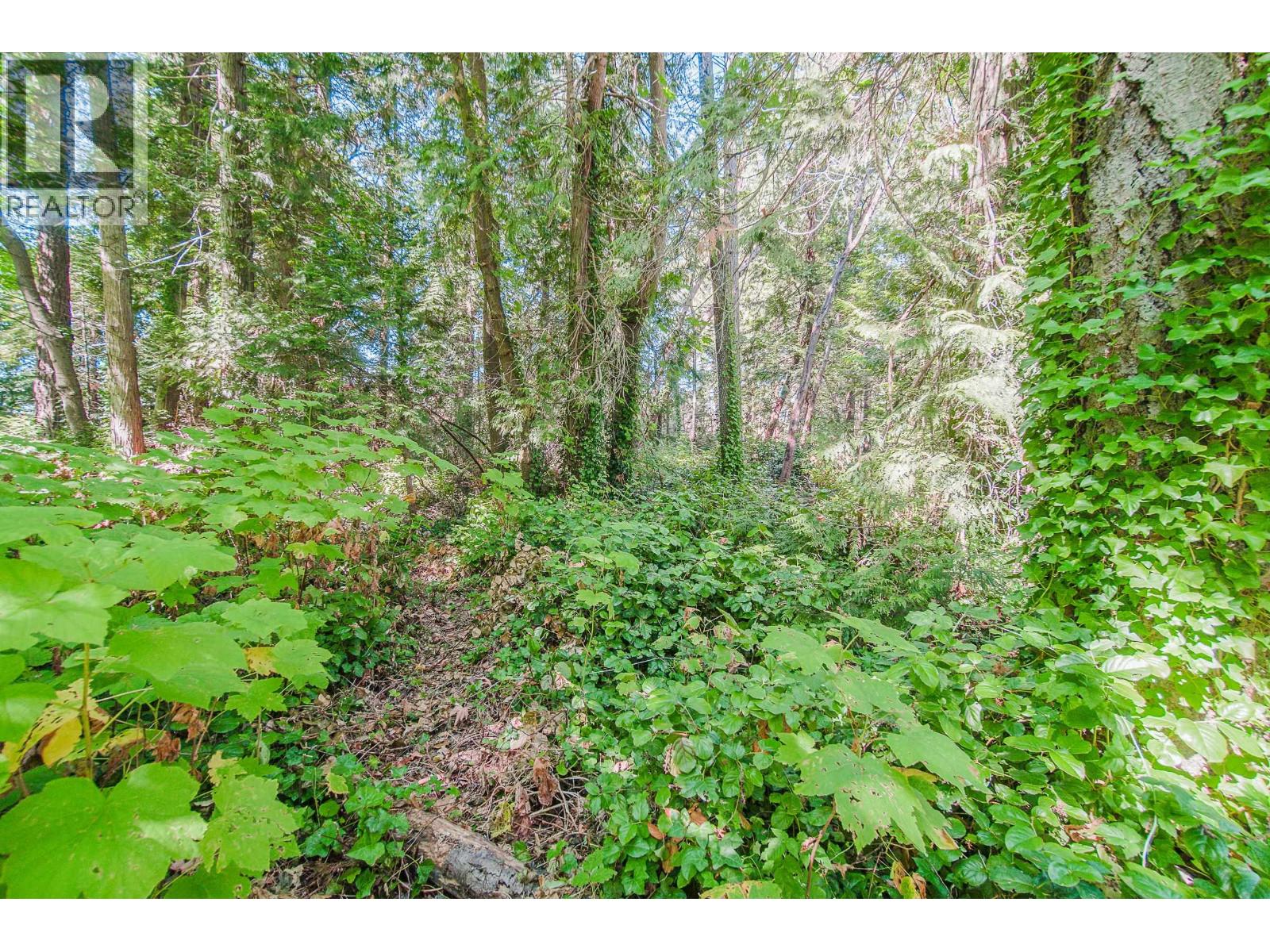 16 Passage Island Property Photo 24