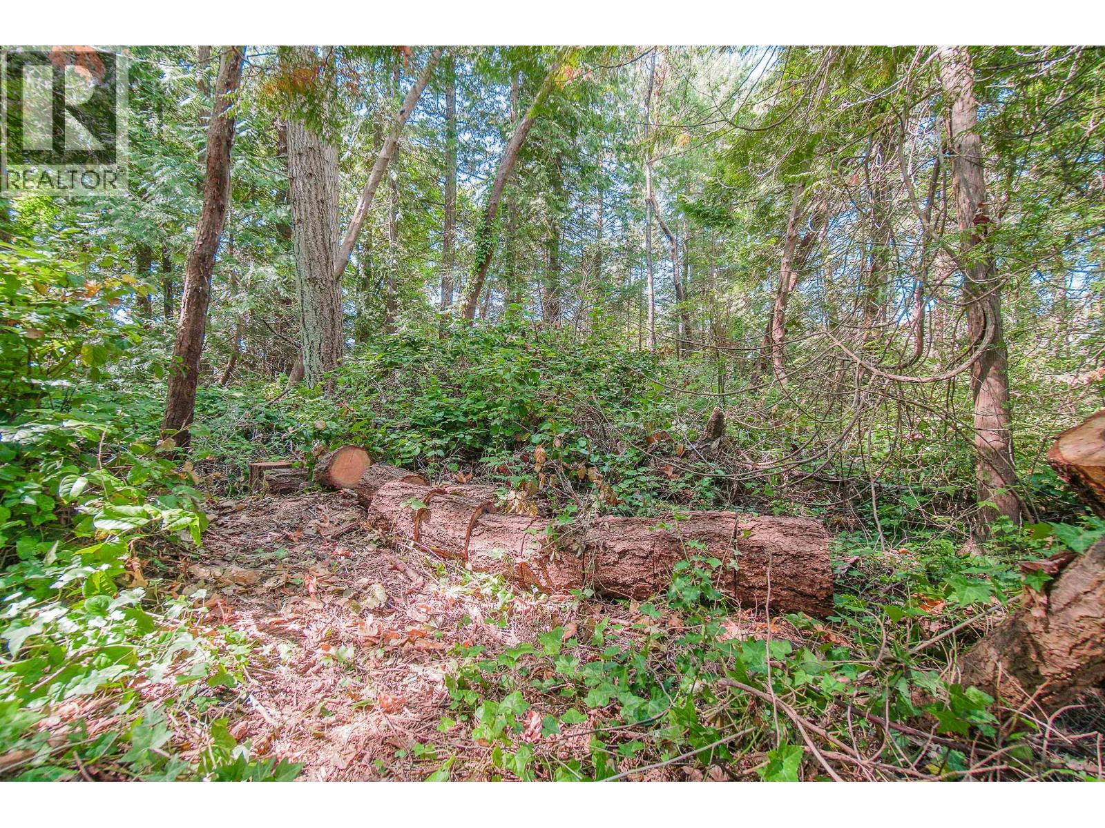 16 Passage Island Property Photo 25