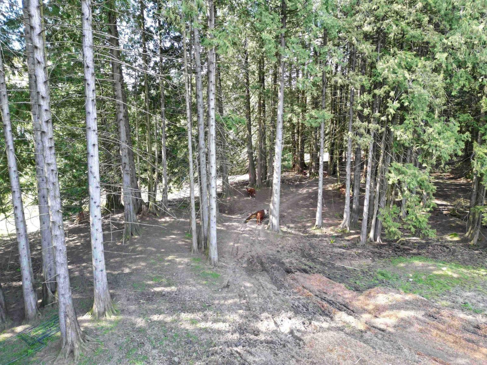 28927 Buchanan Avenue Property Photo 14